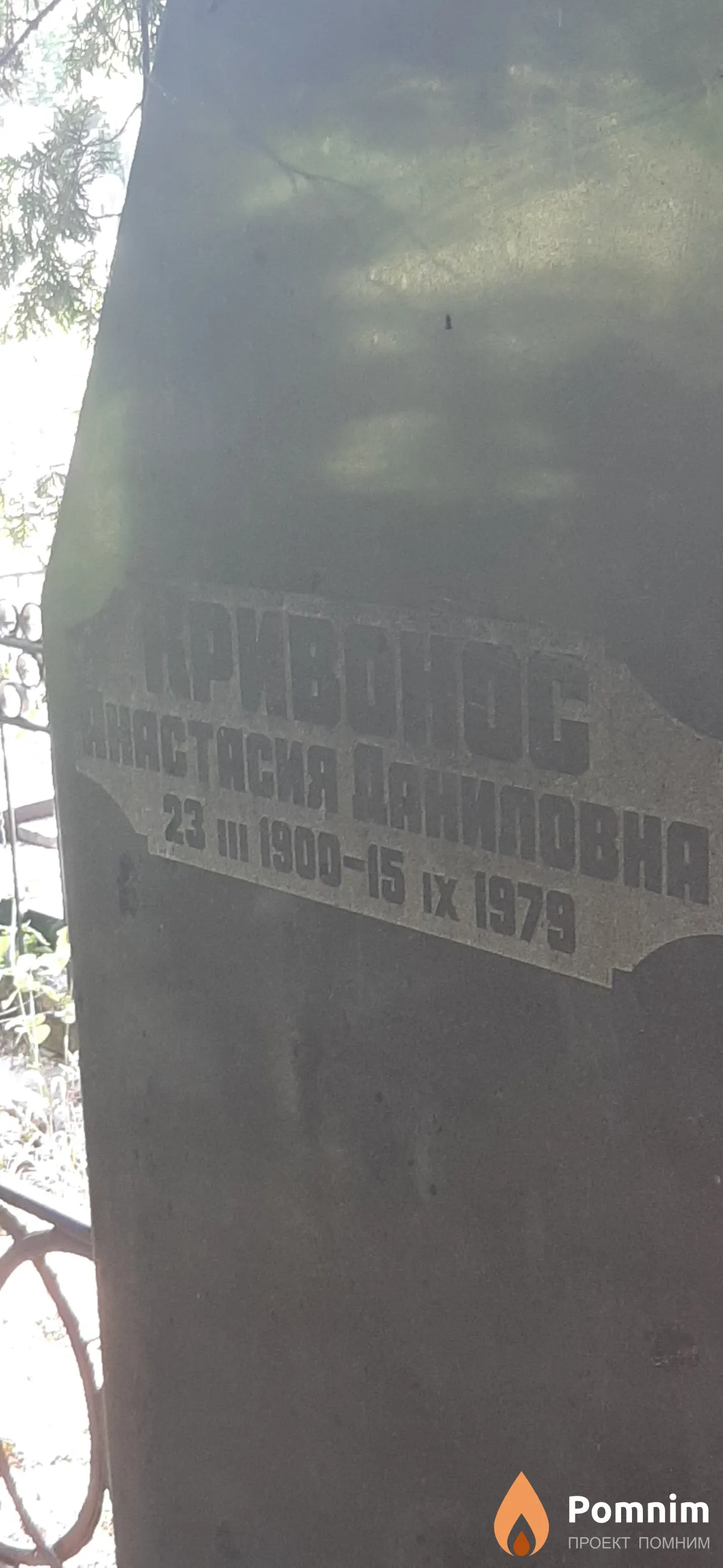 Кривонос Анастасия Даниловна