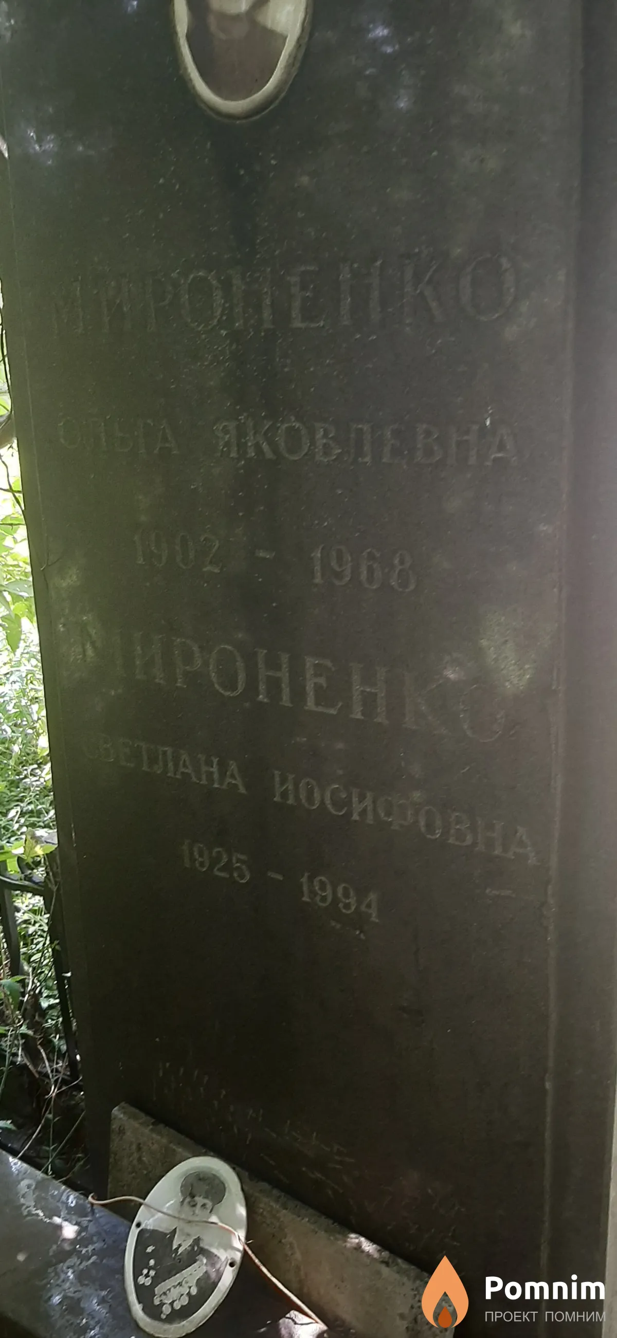 Мироненко Светлана Иосифовна