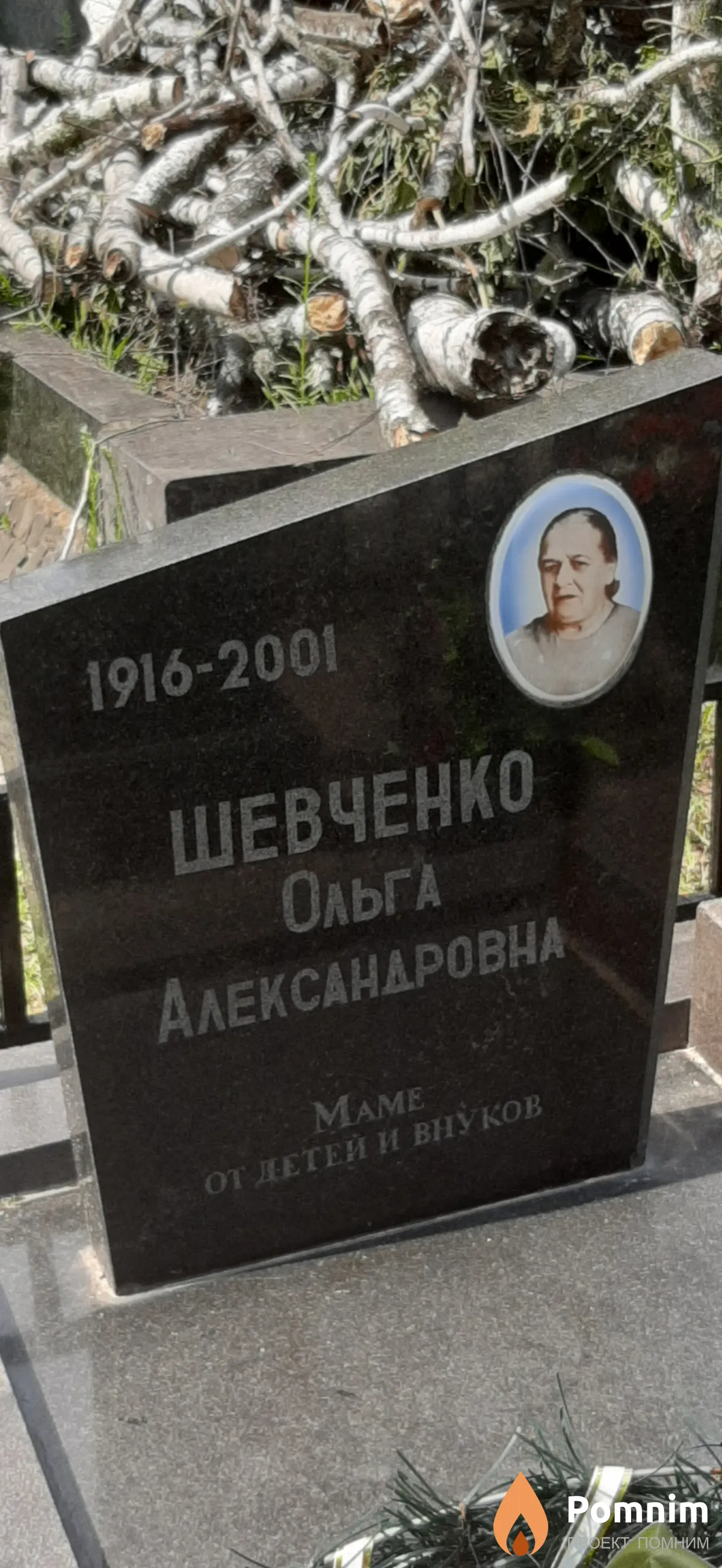 Шевченко Ольга Александровна