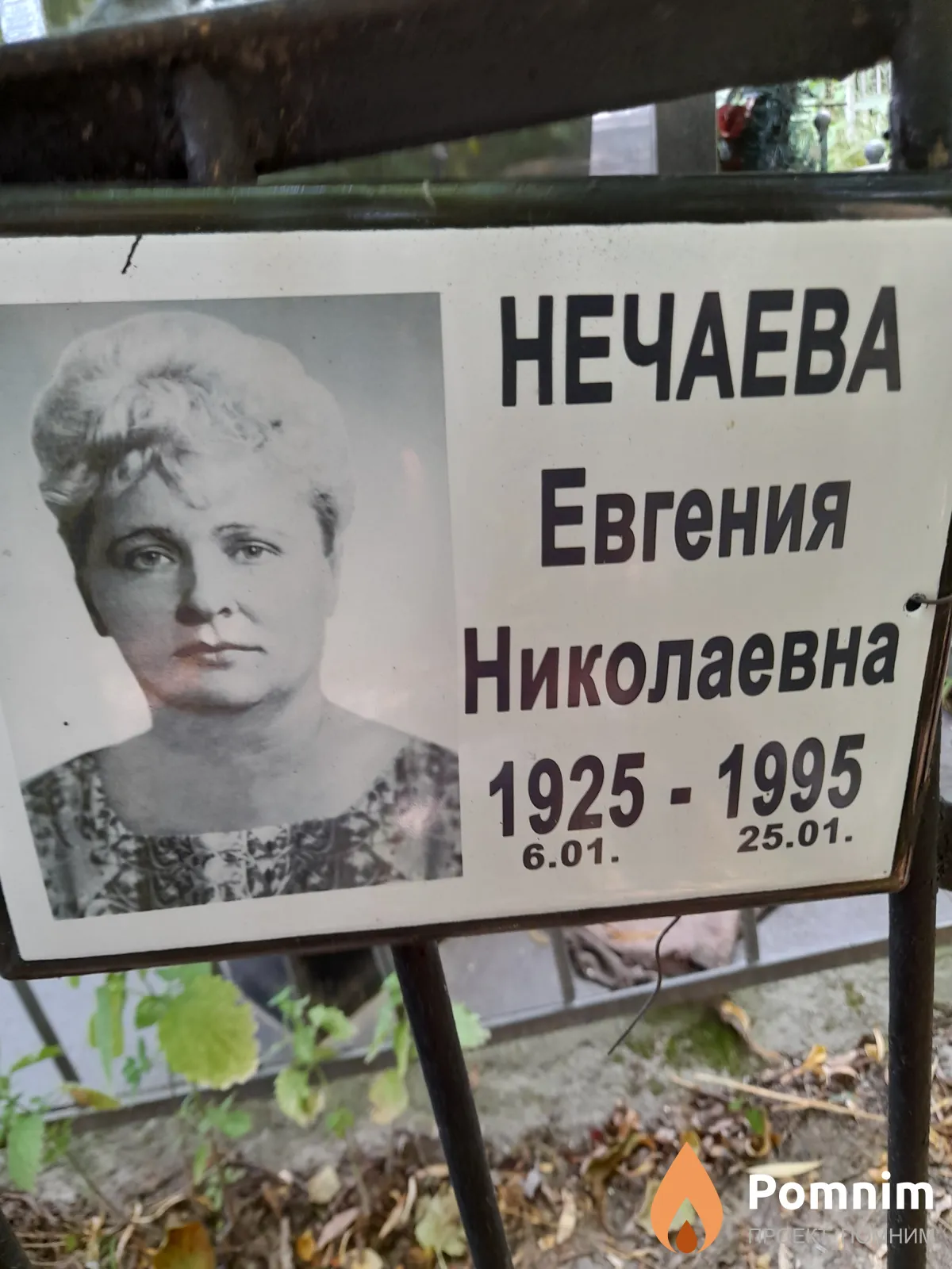Нечаева Евгения Николаевна