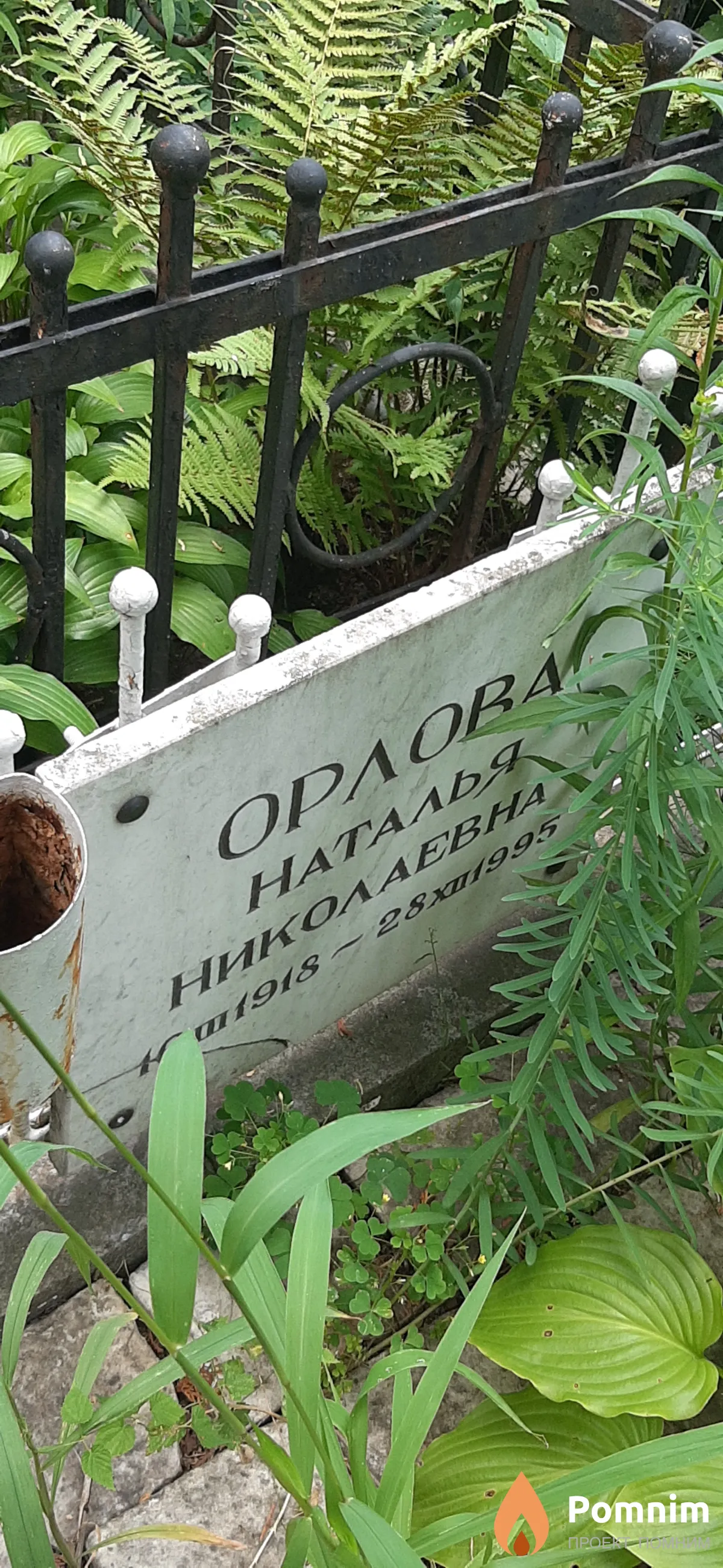 Орлова Наталья Николаевна