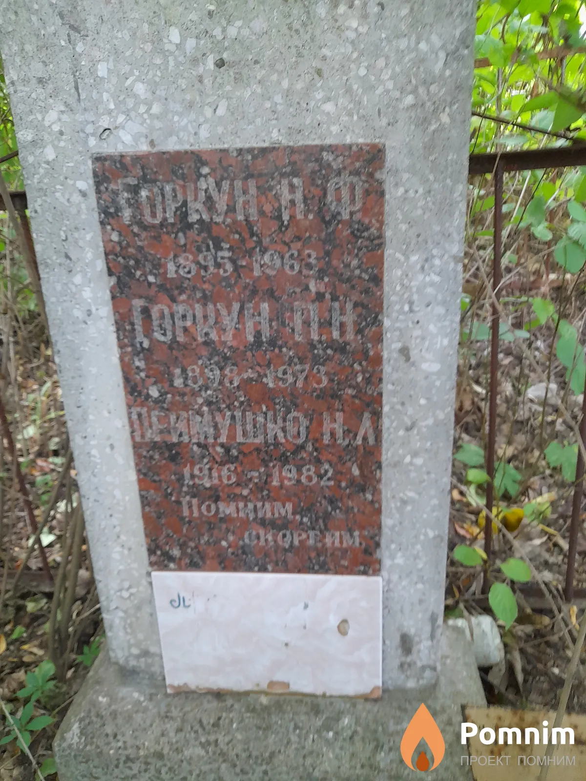 Горкун Н Ф