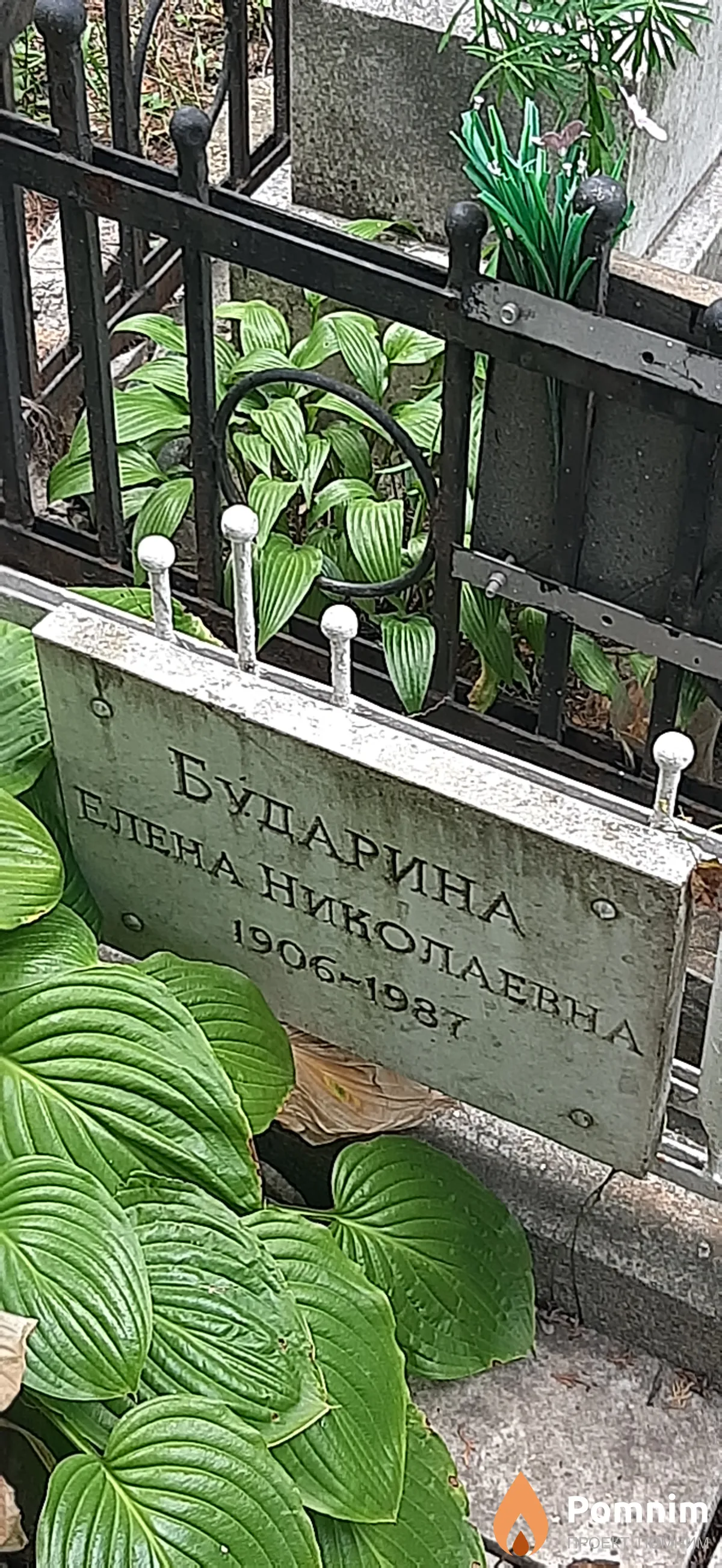Бударина Елена Николаевна