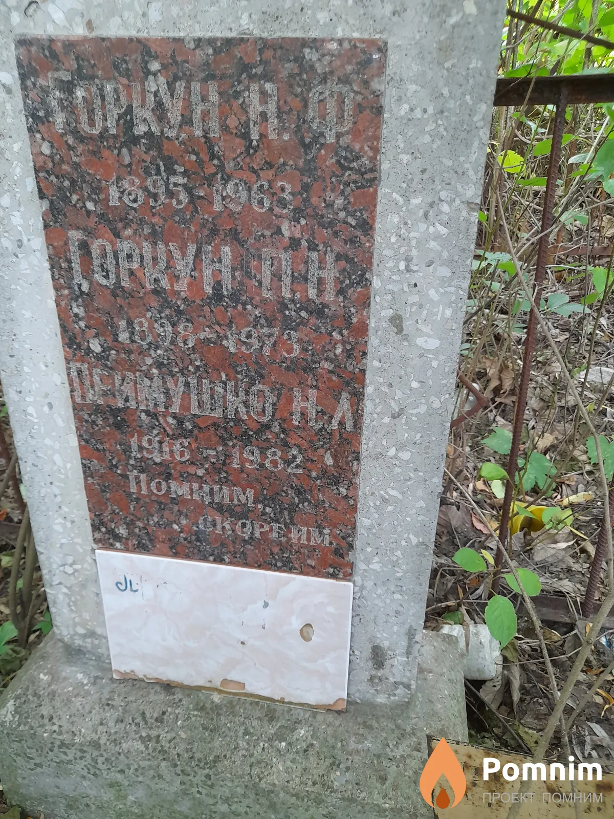 Примушко Н Л