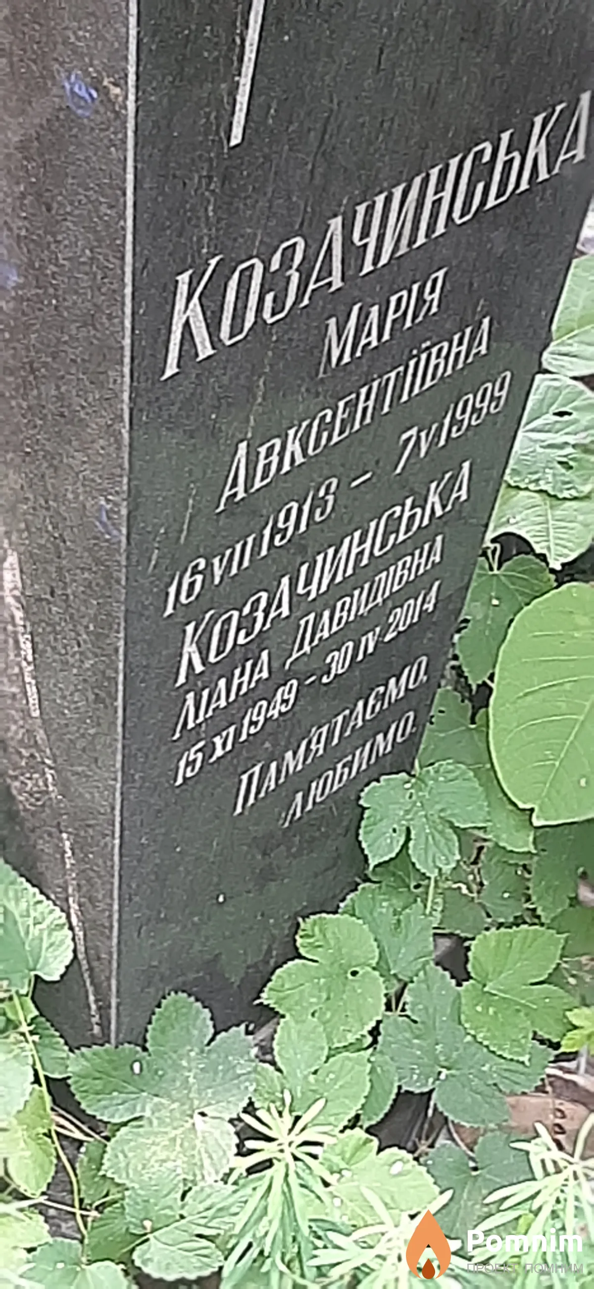Козачинська Лиана Давидовна