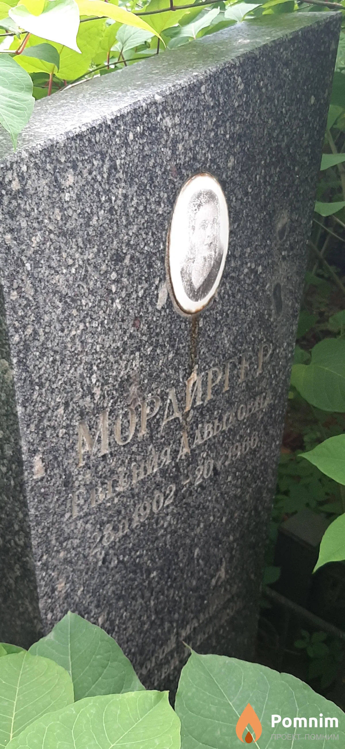 Мордиргер Евгения Давыдовна