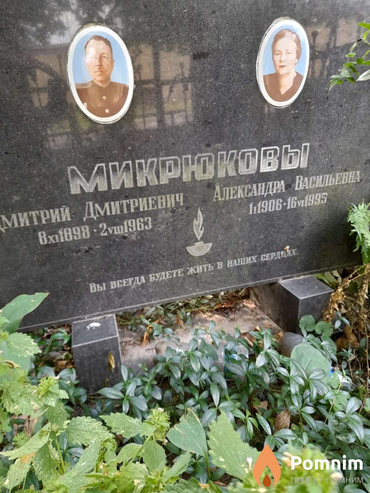 Микрюкова Александра Васильевна