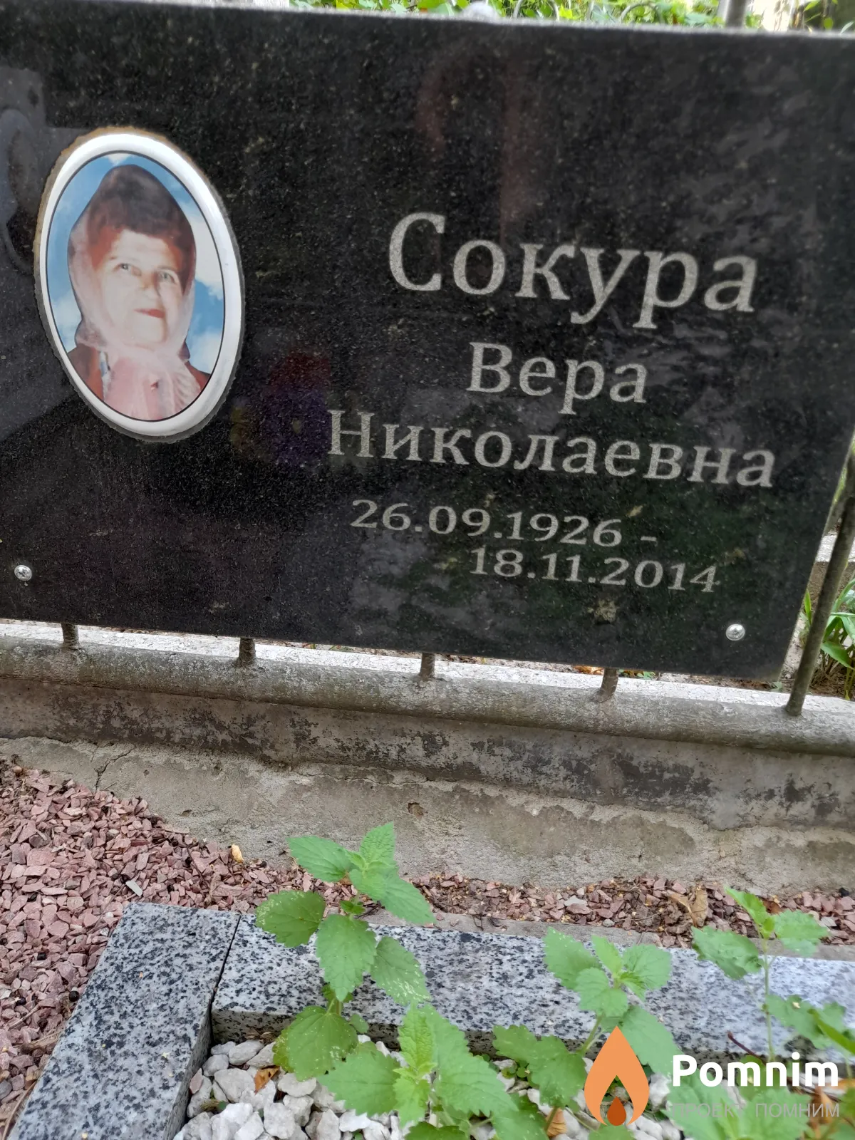 Сокура Вера Николаевна