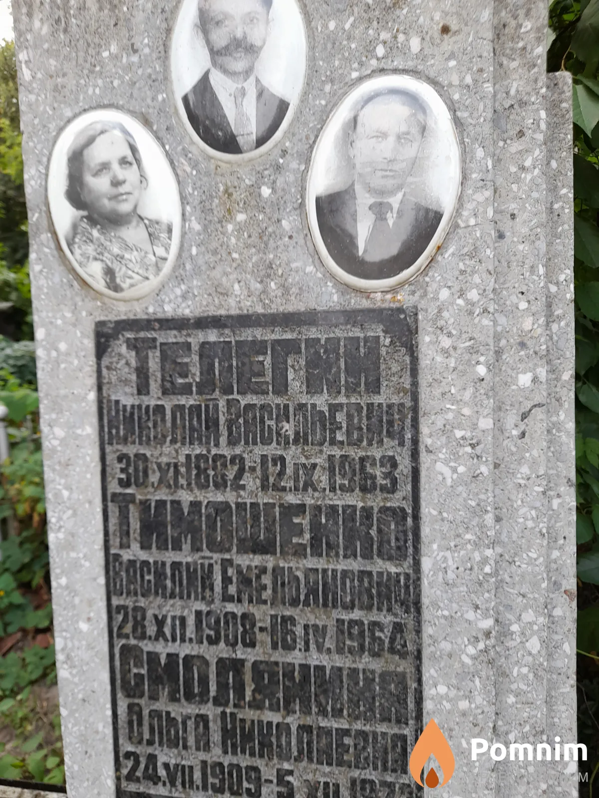 Телегин Николай Васильевич