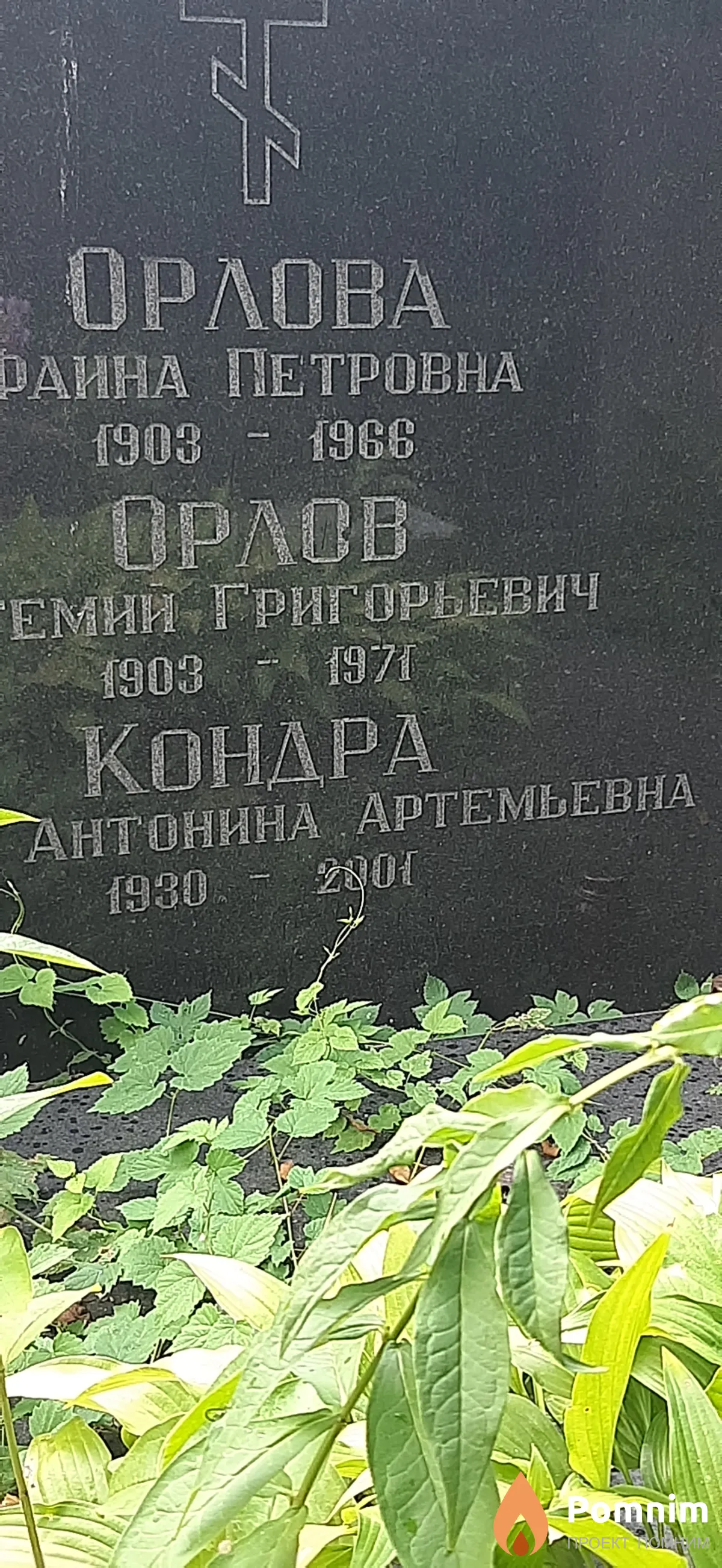 Кондра Антонина Артемьевна