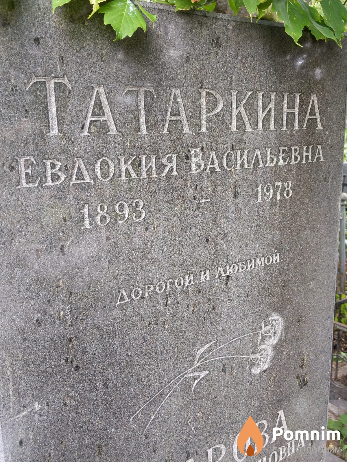 Татаркина Евдокия Васильевна