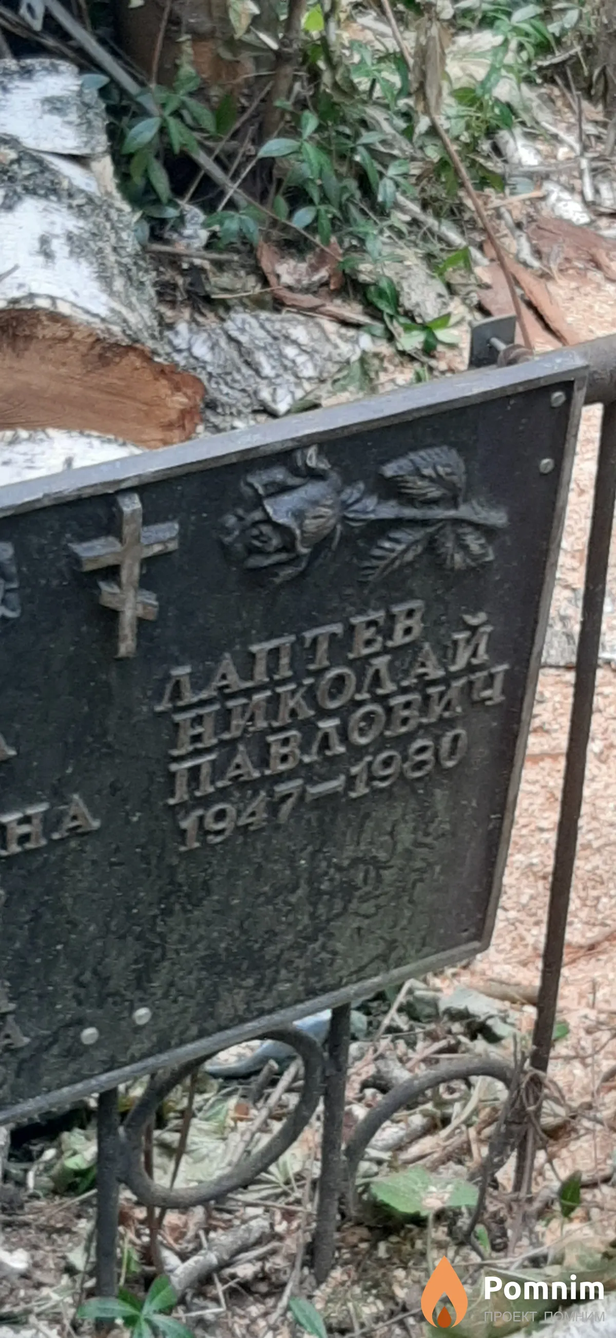 Лаптев Николай Павлович