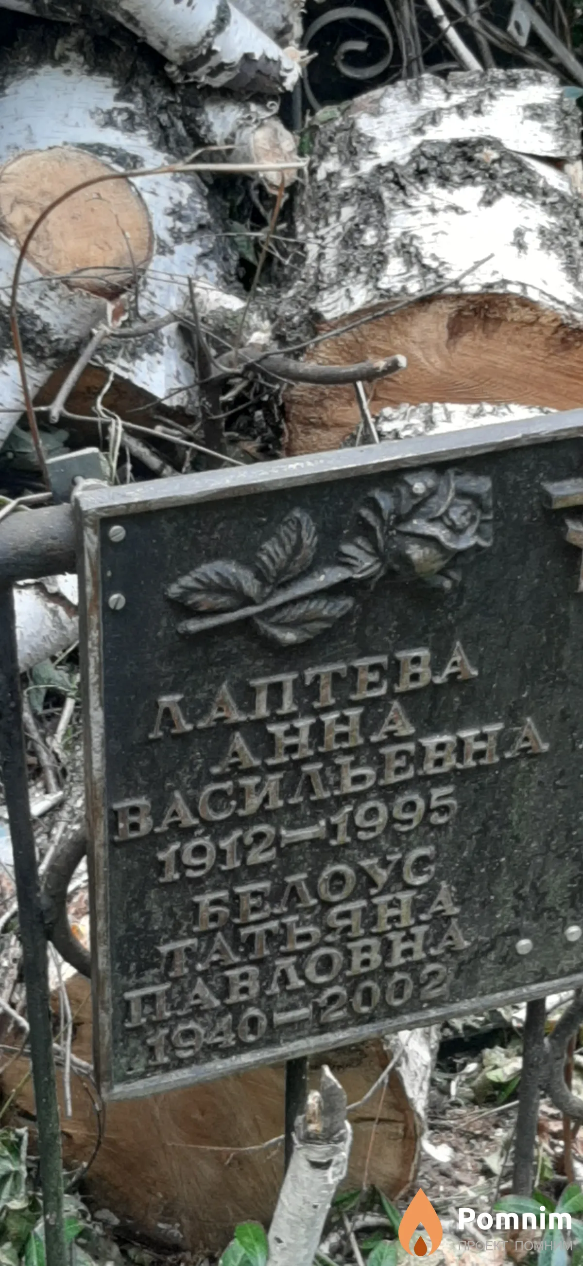 Лаптева Анна Васильевна