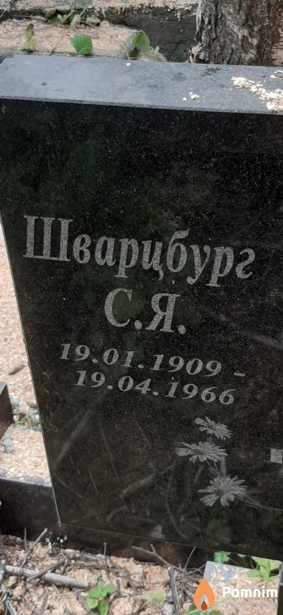 Швацбург С. Я.