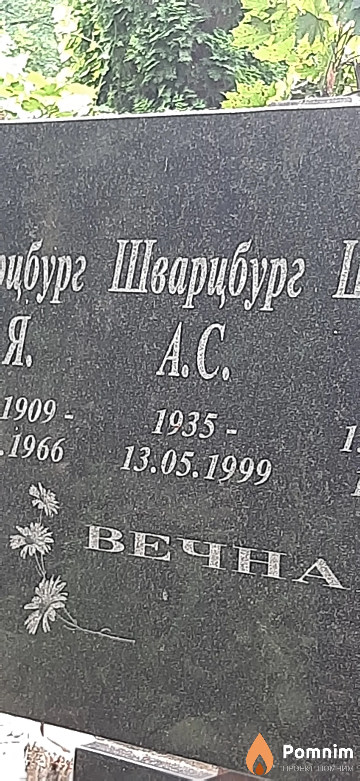 Швацбург А. С.