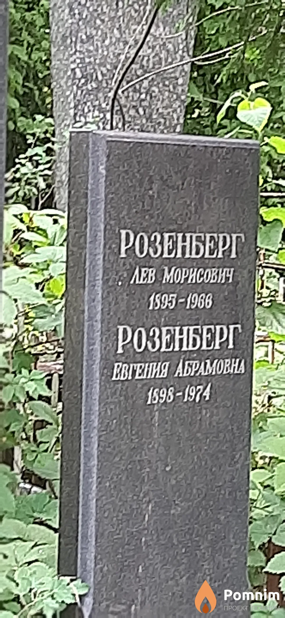 Розенберг Лев Морисович