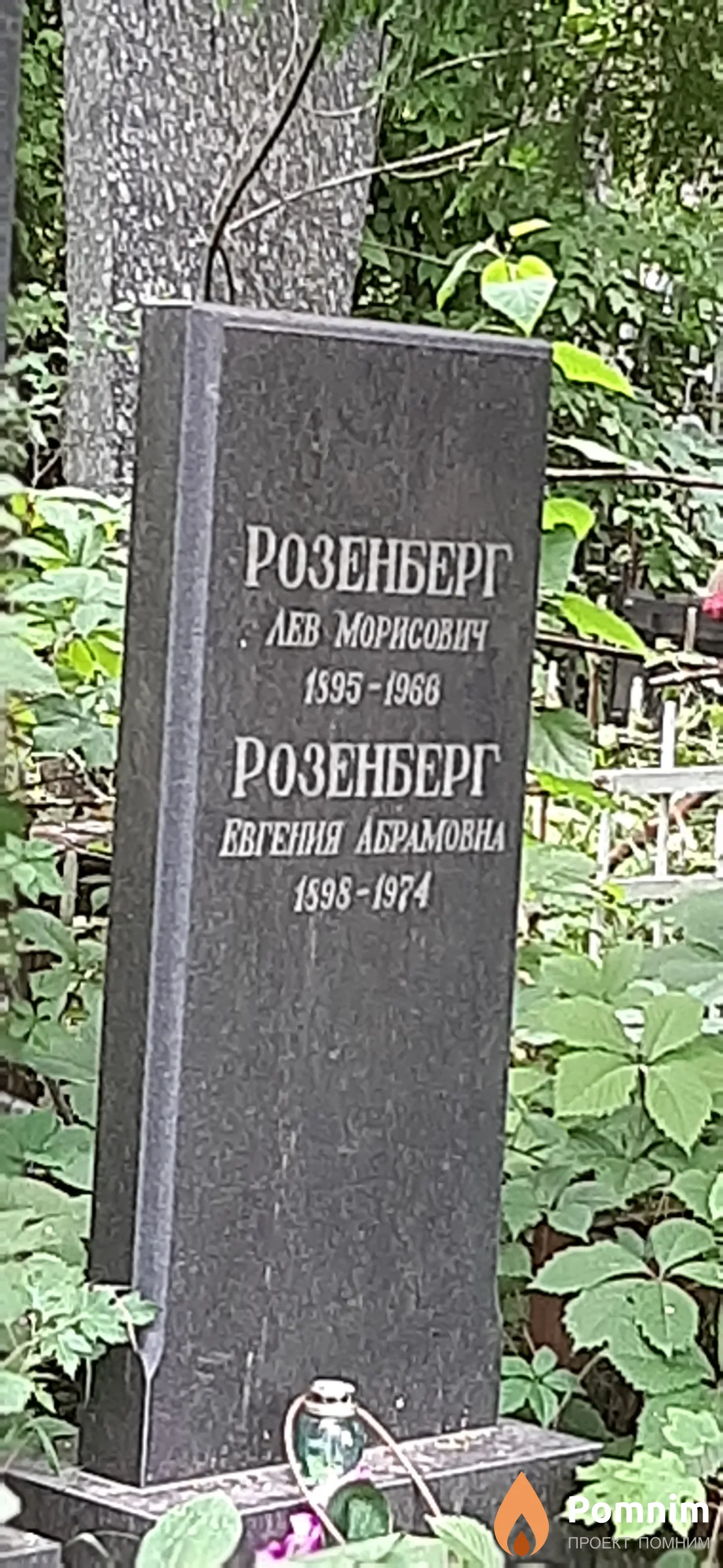 Розенберг Евгения Абрамовна
