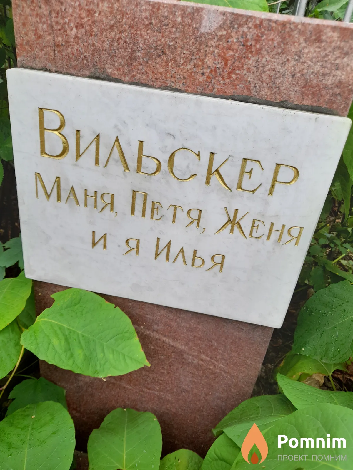 Вильскер Петя