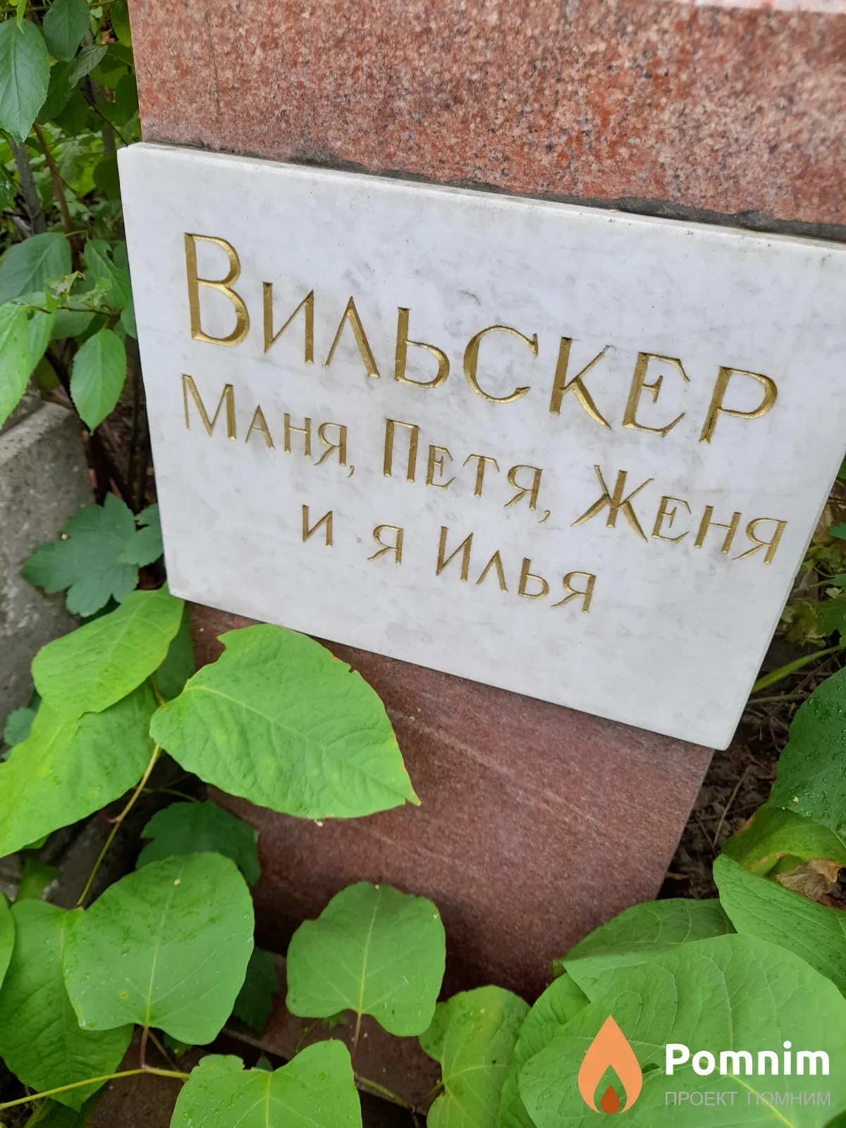 Вильскер Женя