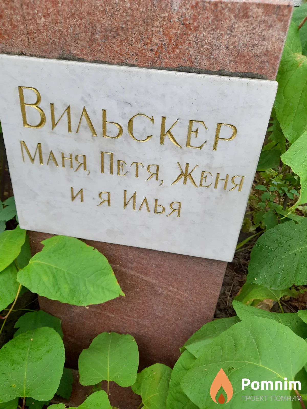 Вильскер Илья