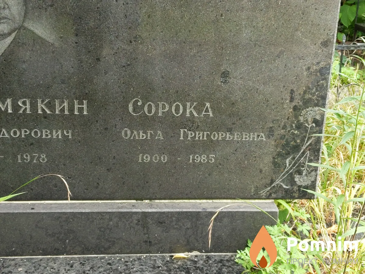 Сорока Ольга Григорьевна