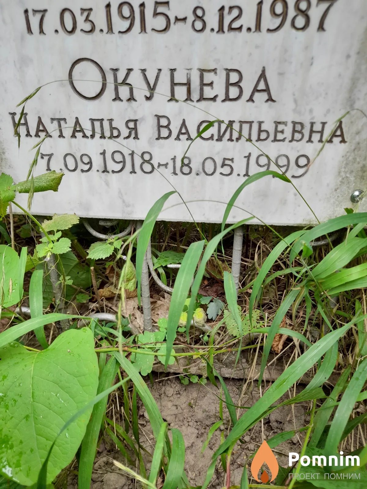 Окунева Наталья Васильевна