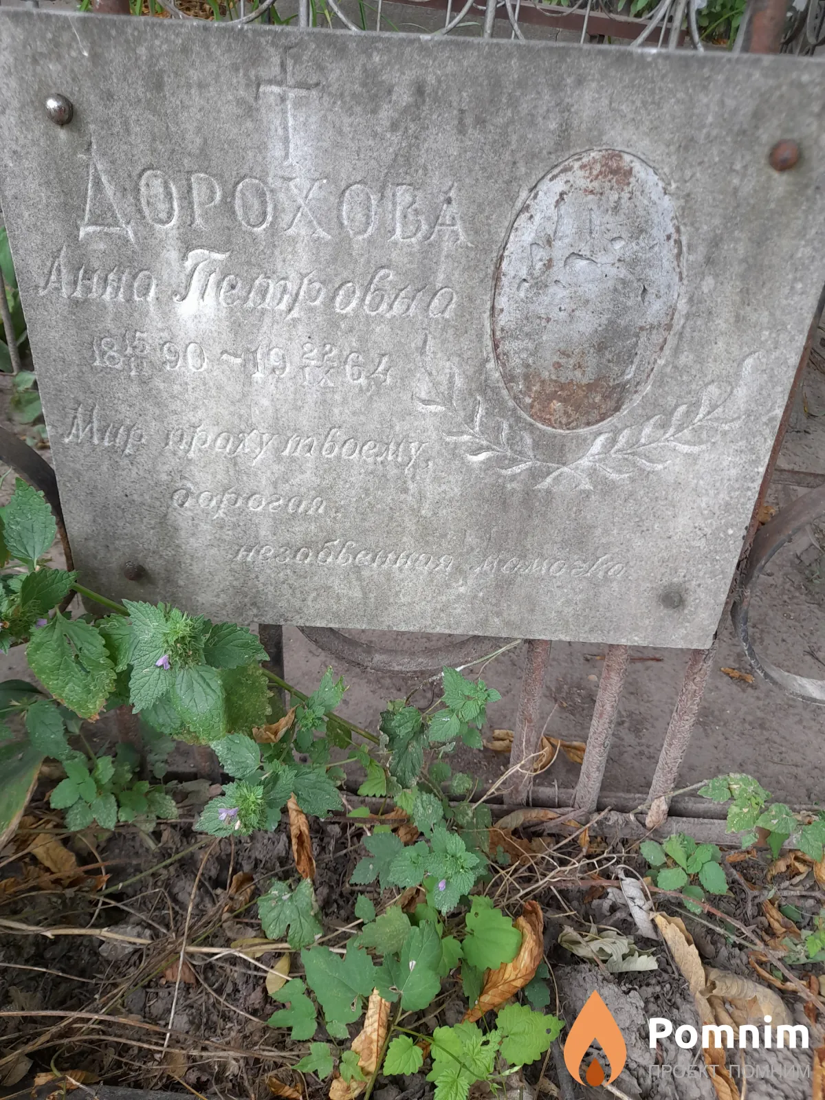 Дорохова Анна Петровна