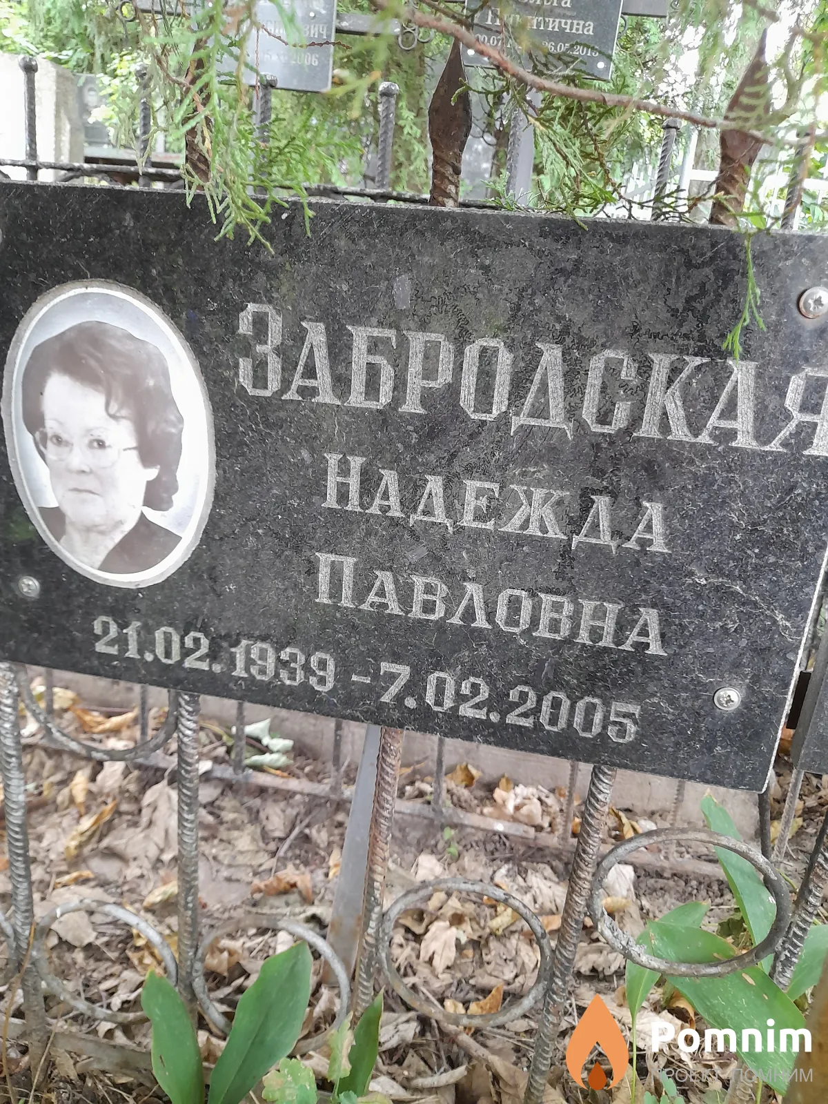 Забродовская Надежда Павловна