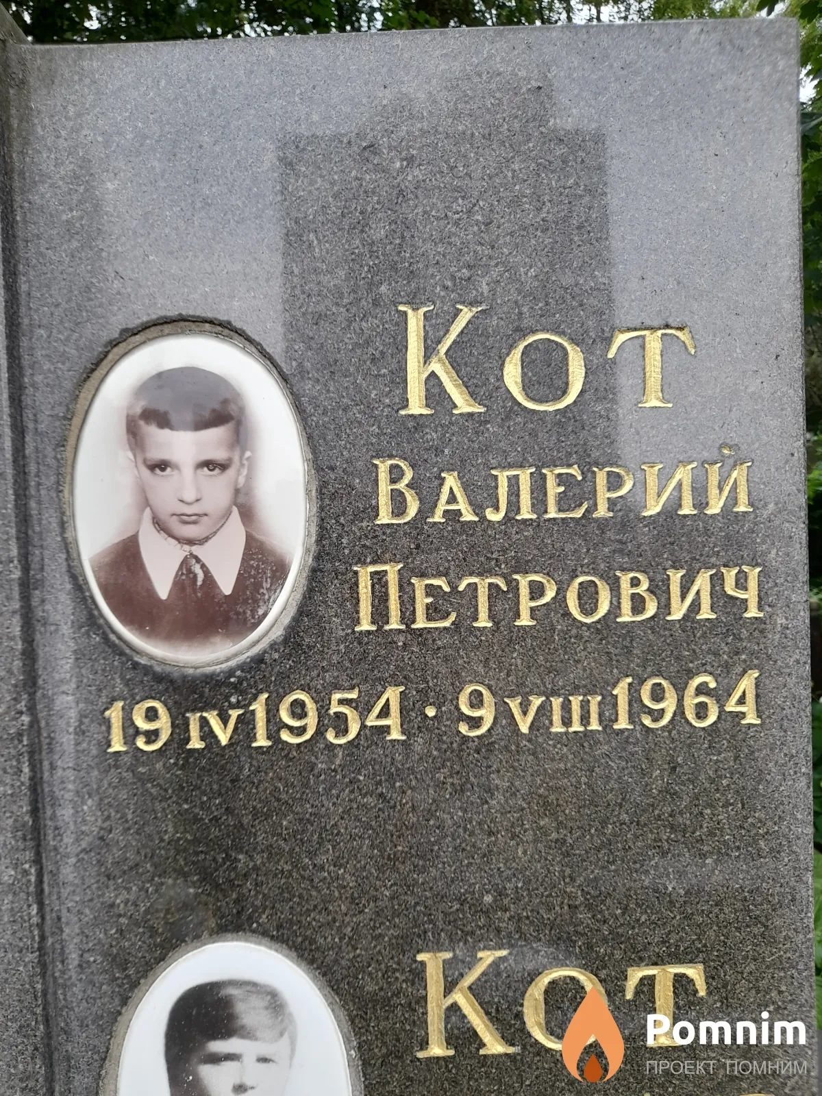 Кот Валерии Петрович