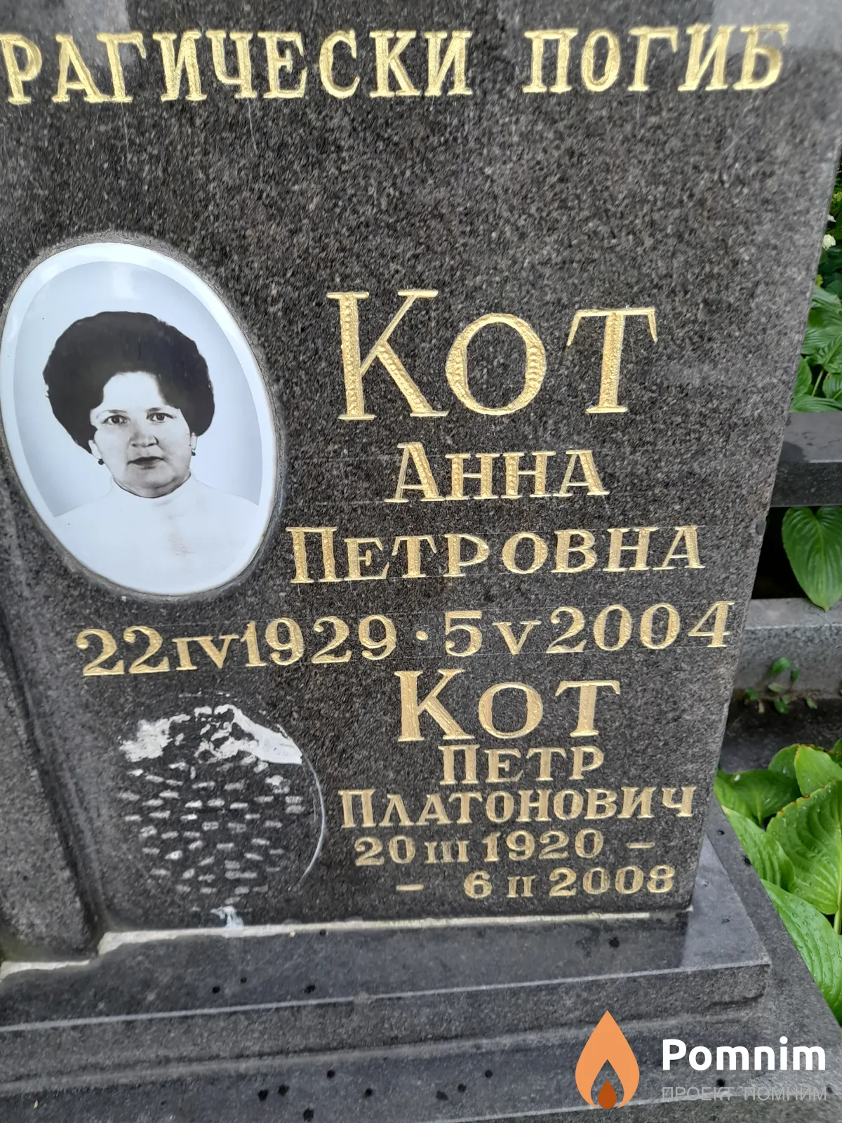 Кот Анна Петровна