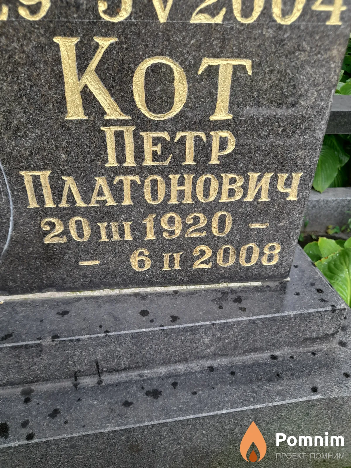 Кот Петр Платонович