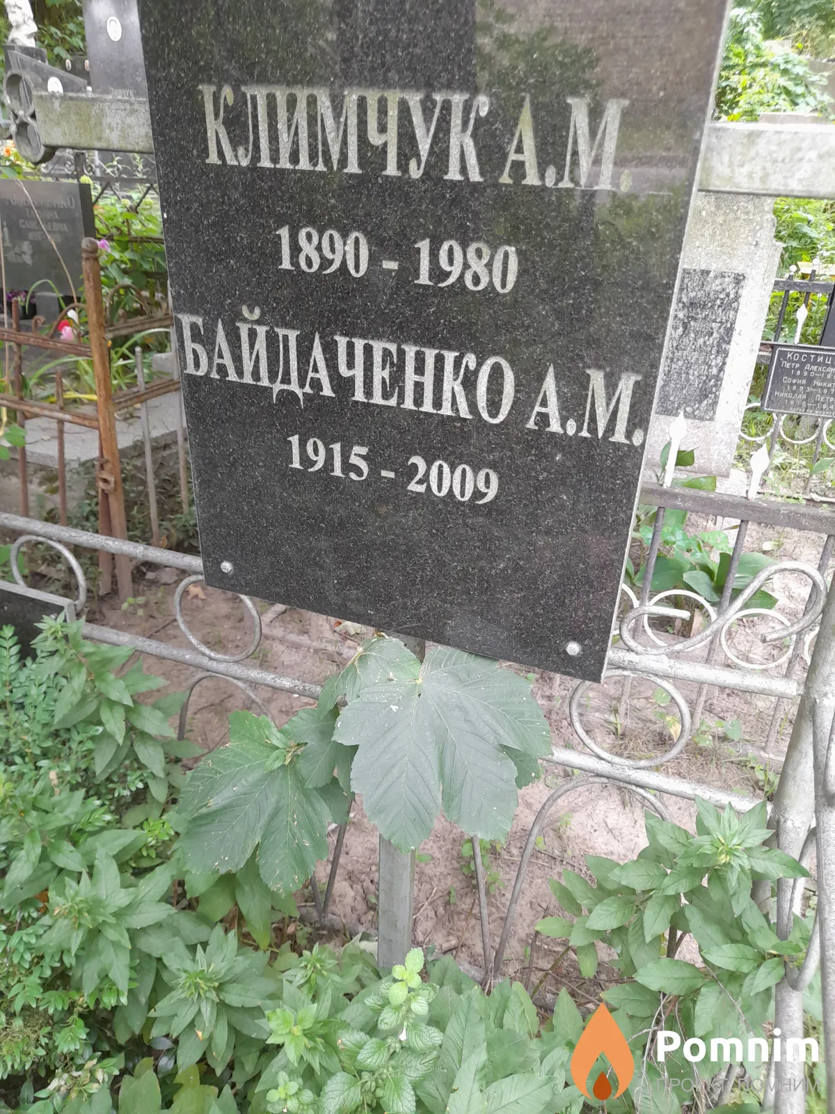 Байдаченко А М