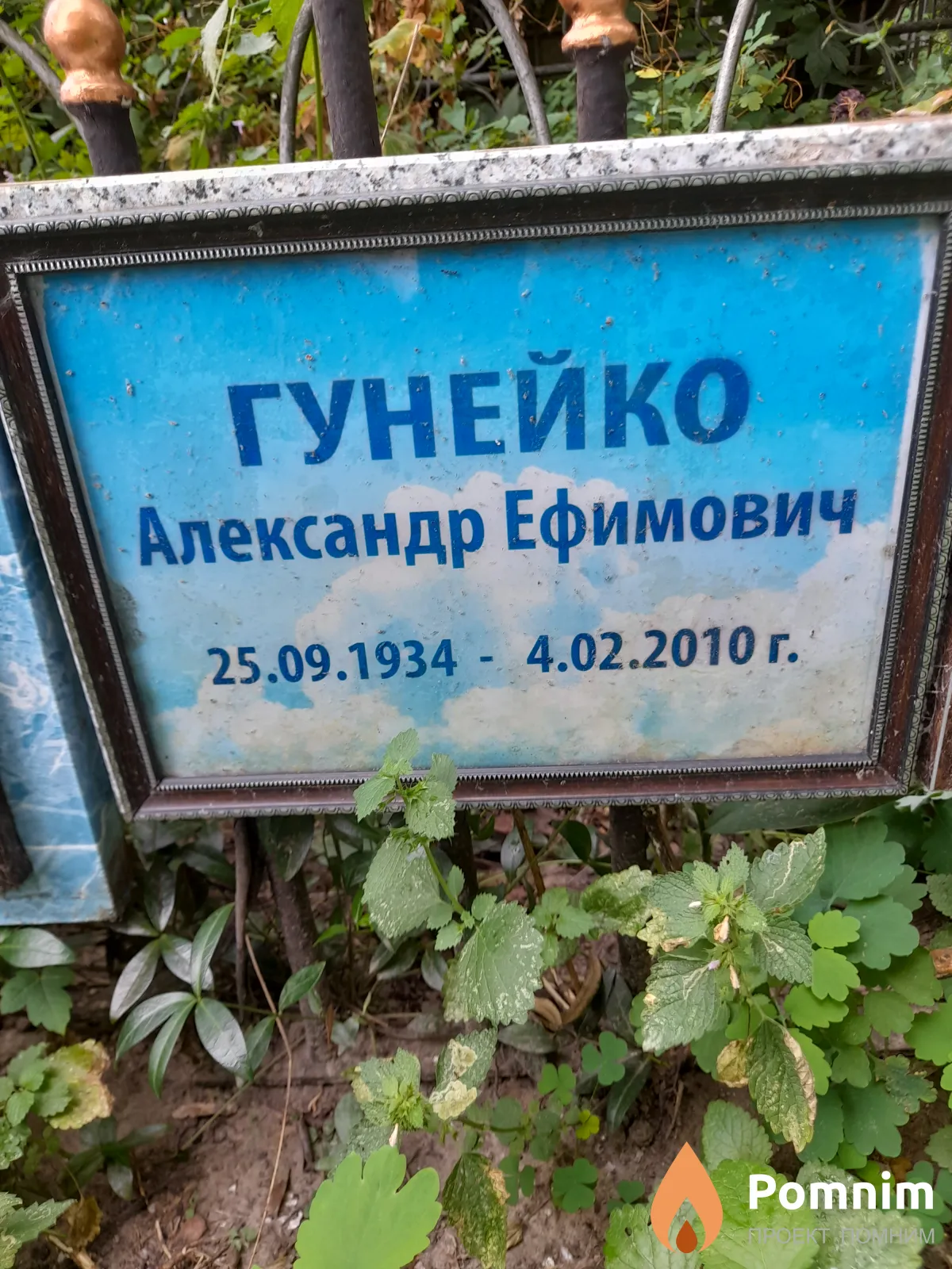 Гунейко Александр Ефимович