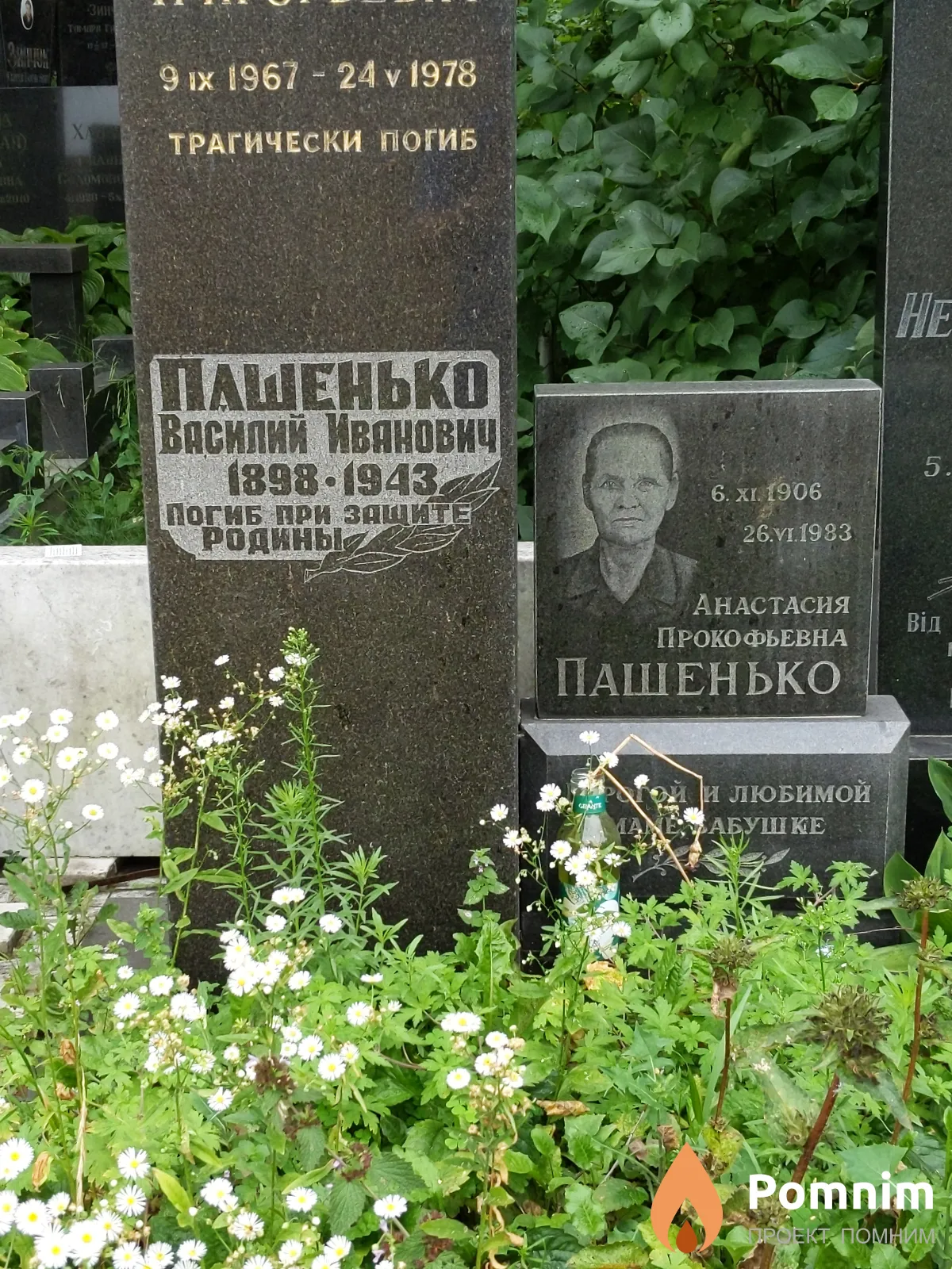 Пашенько Василий Иванович