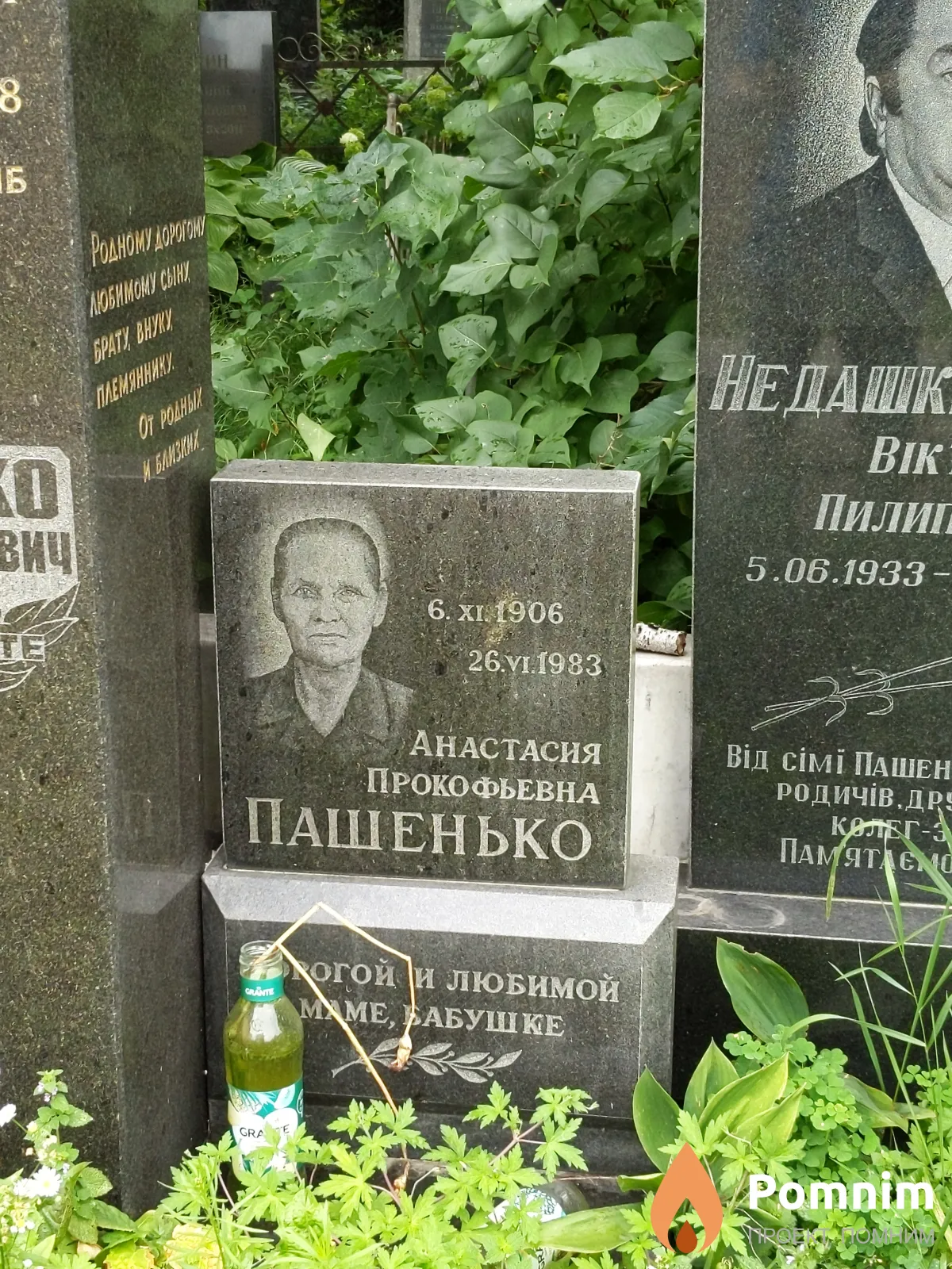 Пашенько Анастасия Прокофьевна
