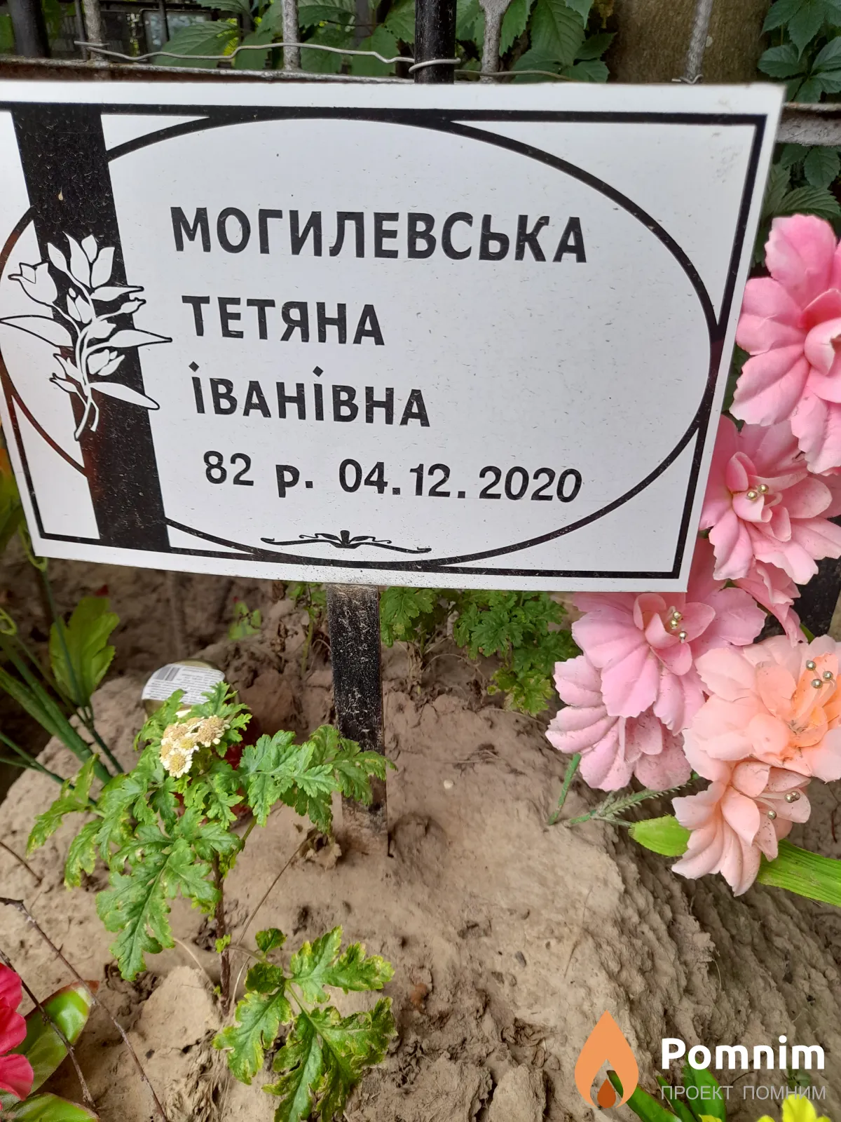 Могилевська Тетяна Ивановна