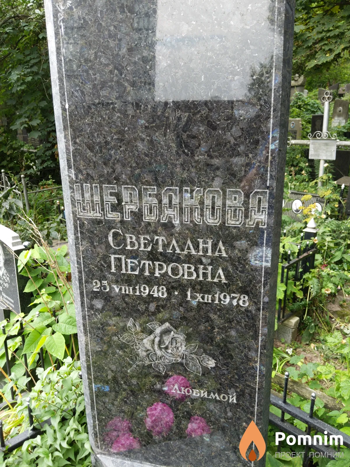 Щербакова Светлана Петровна