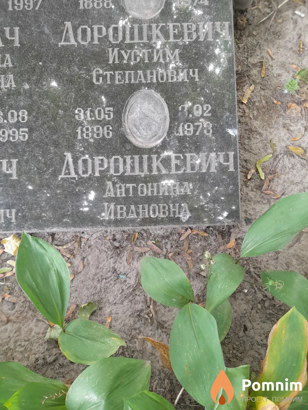 Дорошкевич Антонина Ивановна