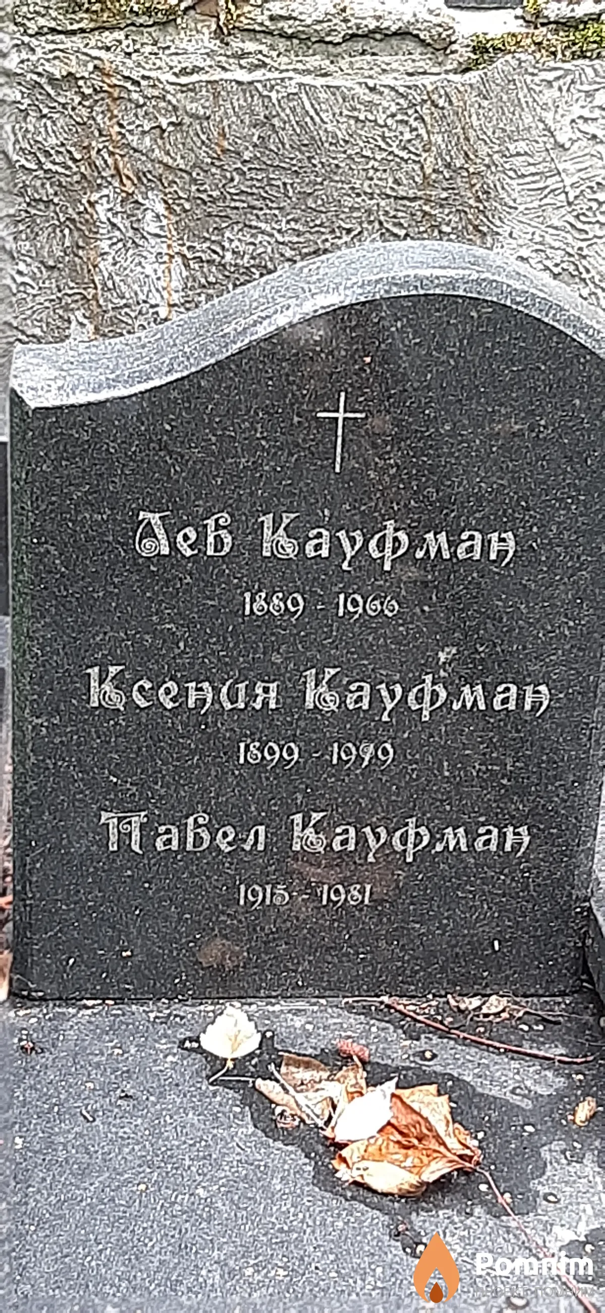 Кауфман Лев