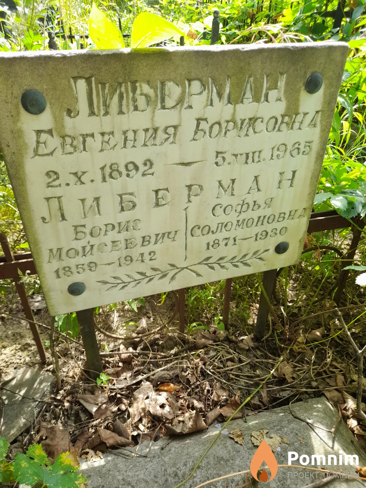 Либерман Евгения Борисовна