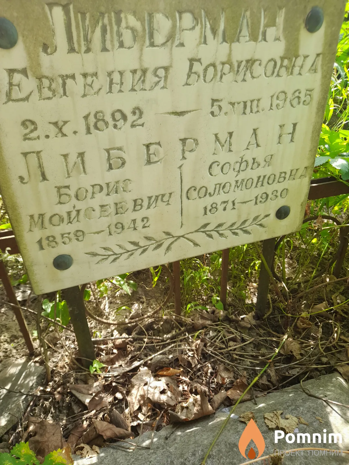 Либерман Софья Соломоновна