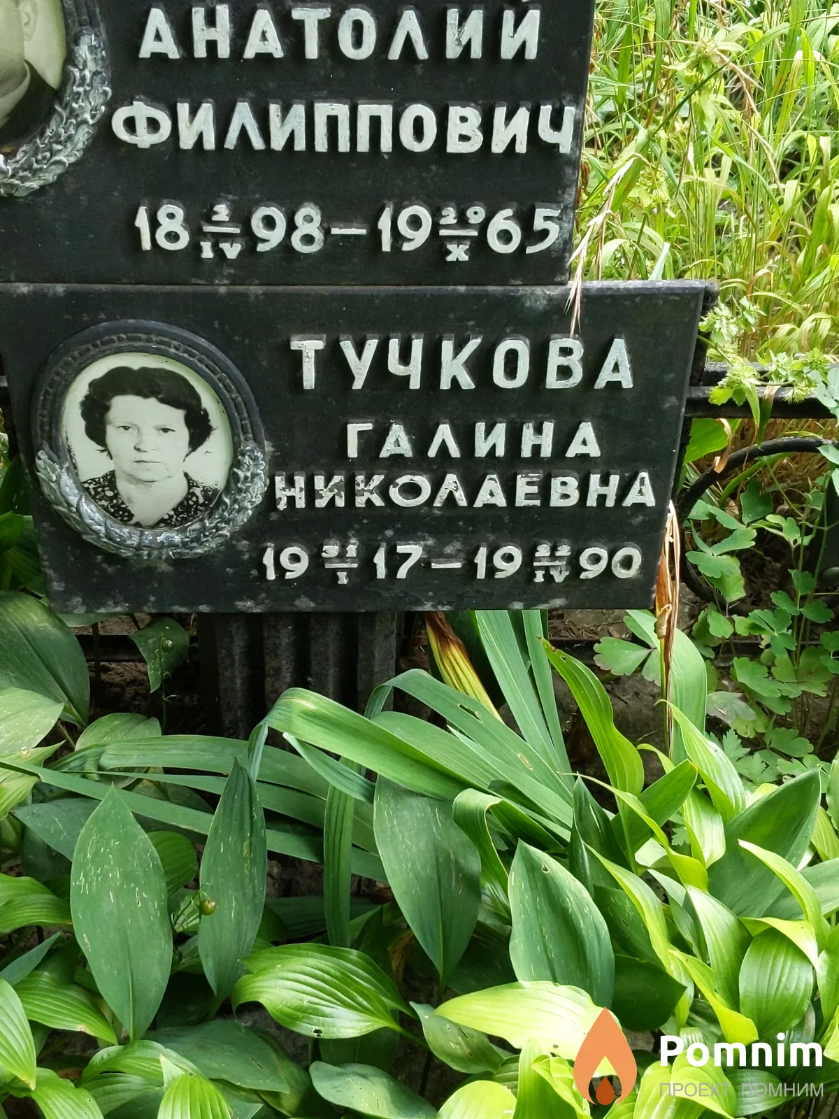 Тучкова Галина Николаевна