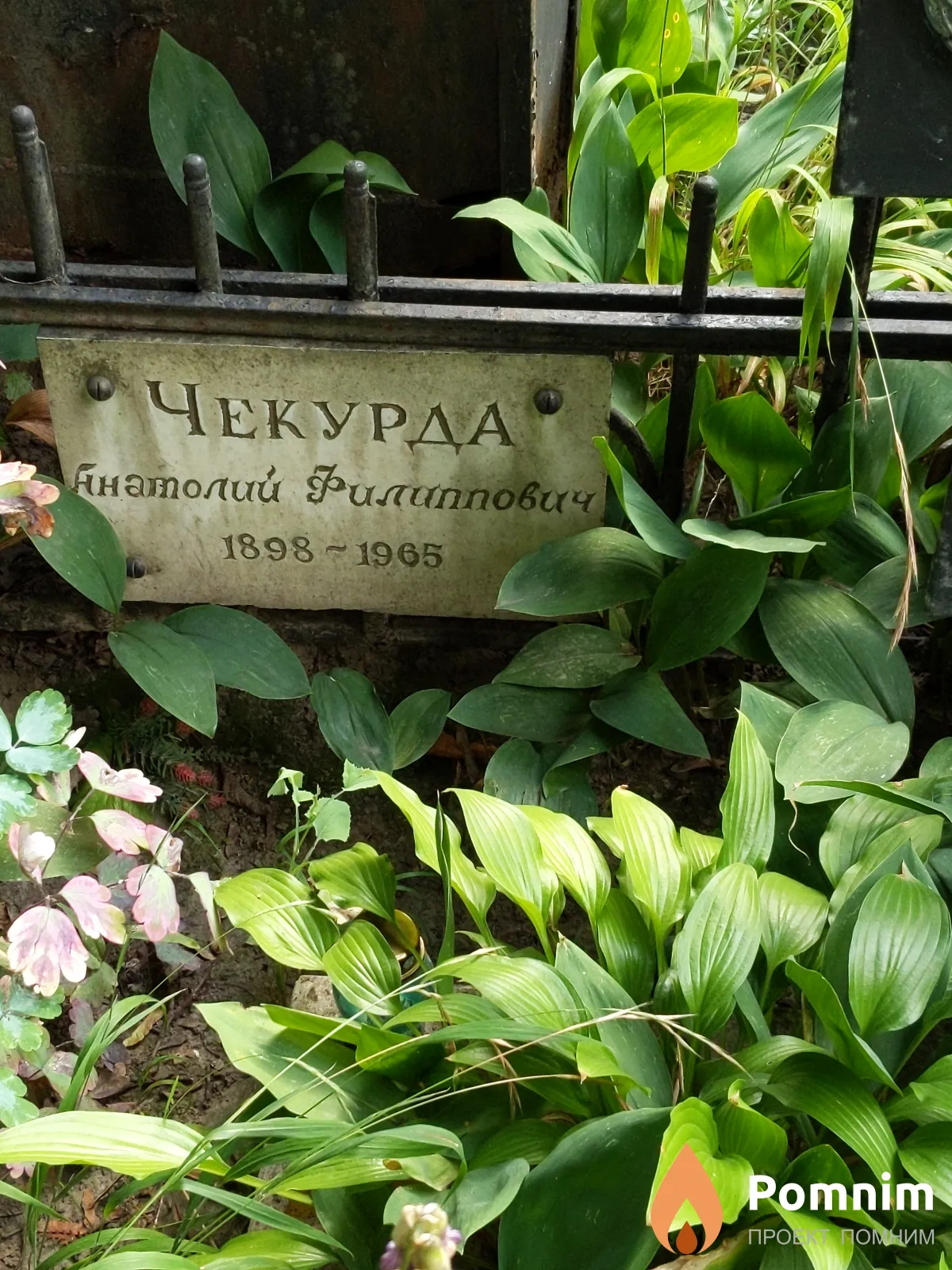Чекурда Анатолий Филиппович