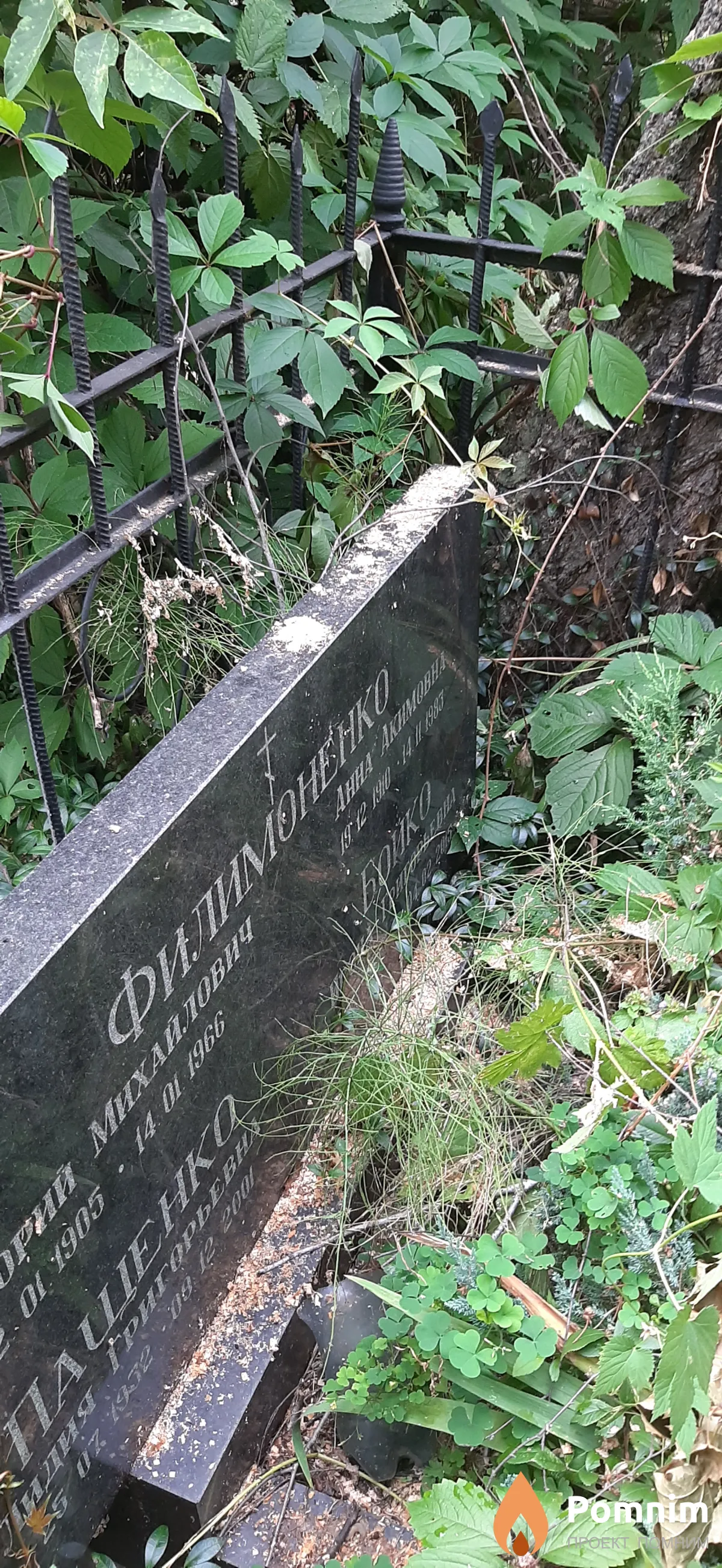 Филимоненко Анна Акимовна