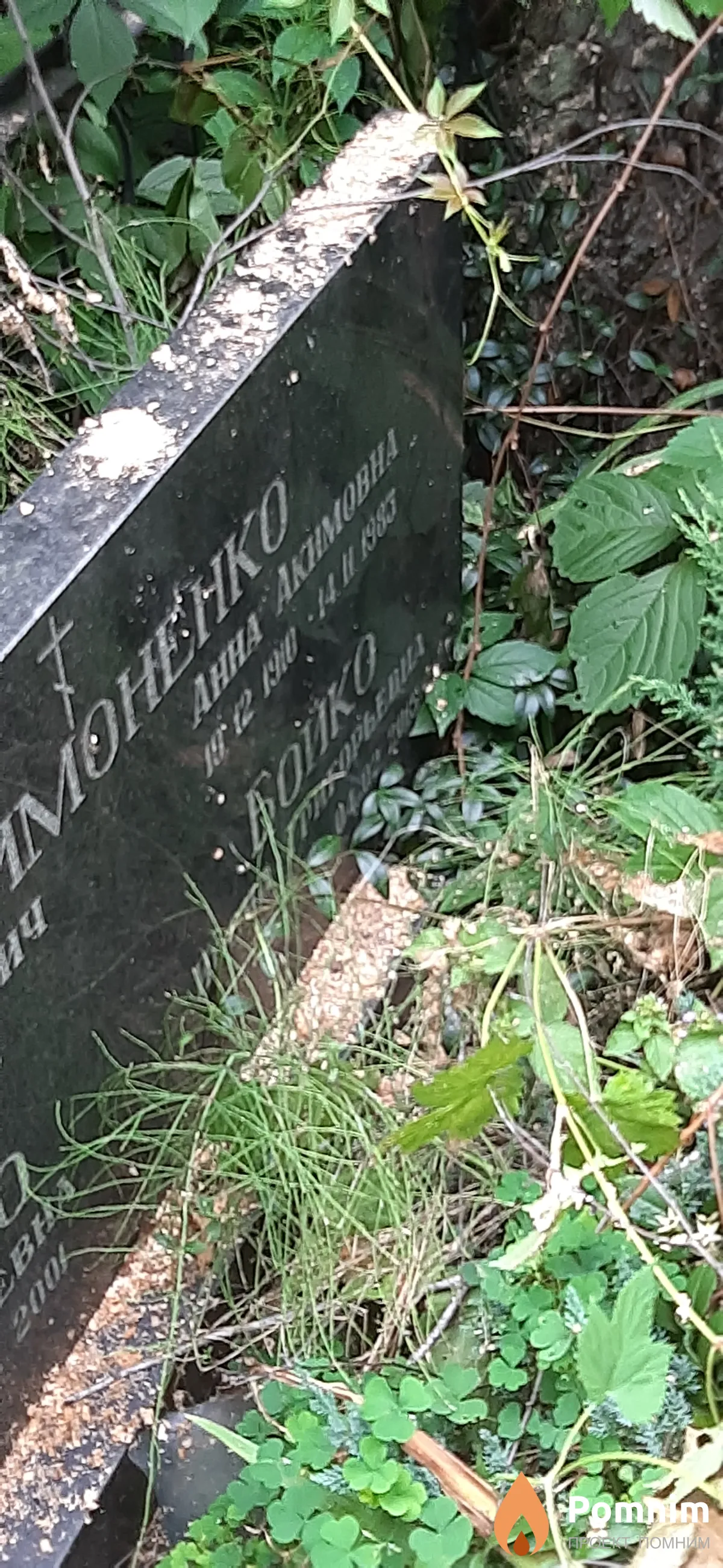 Бойко Ирина Григорьевна