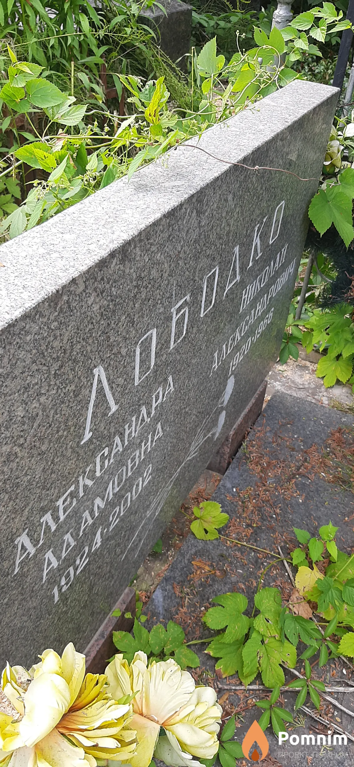 Лободко Александра Адамовна