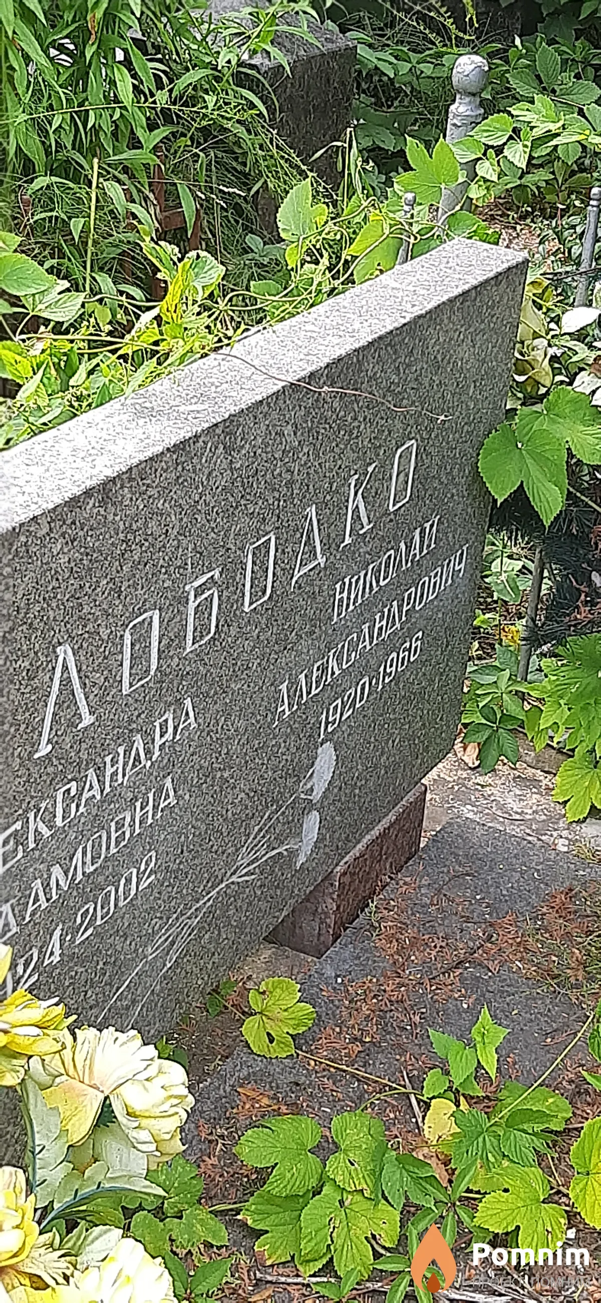 Лободко Николай Александрович