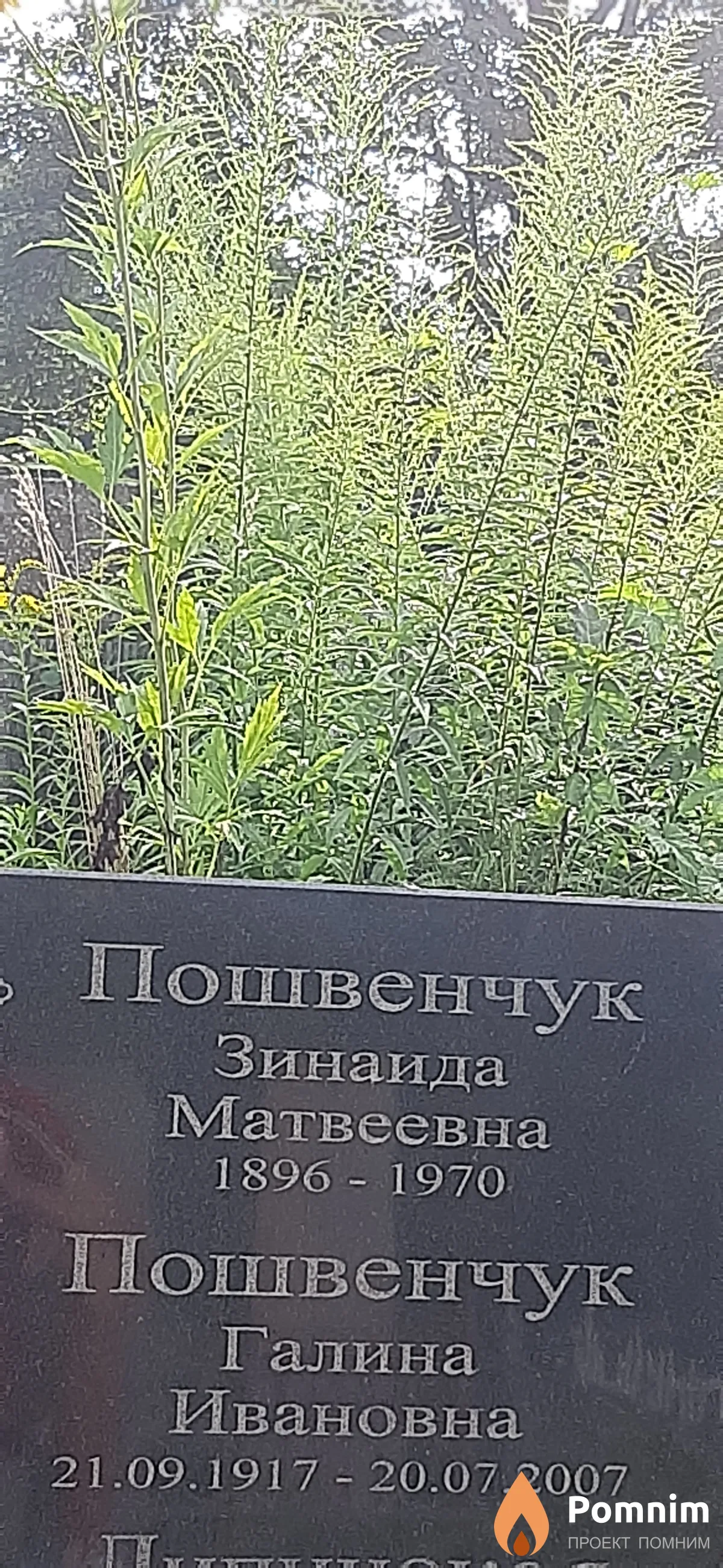 Пошвенчук Галина Ивановна