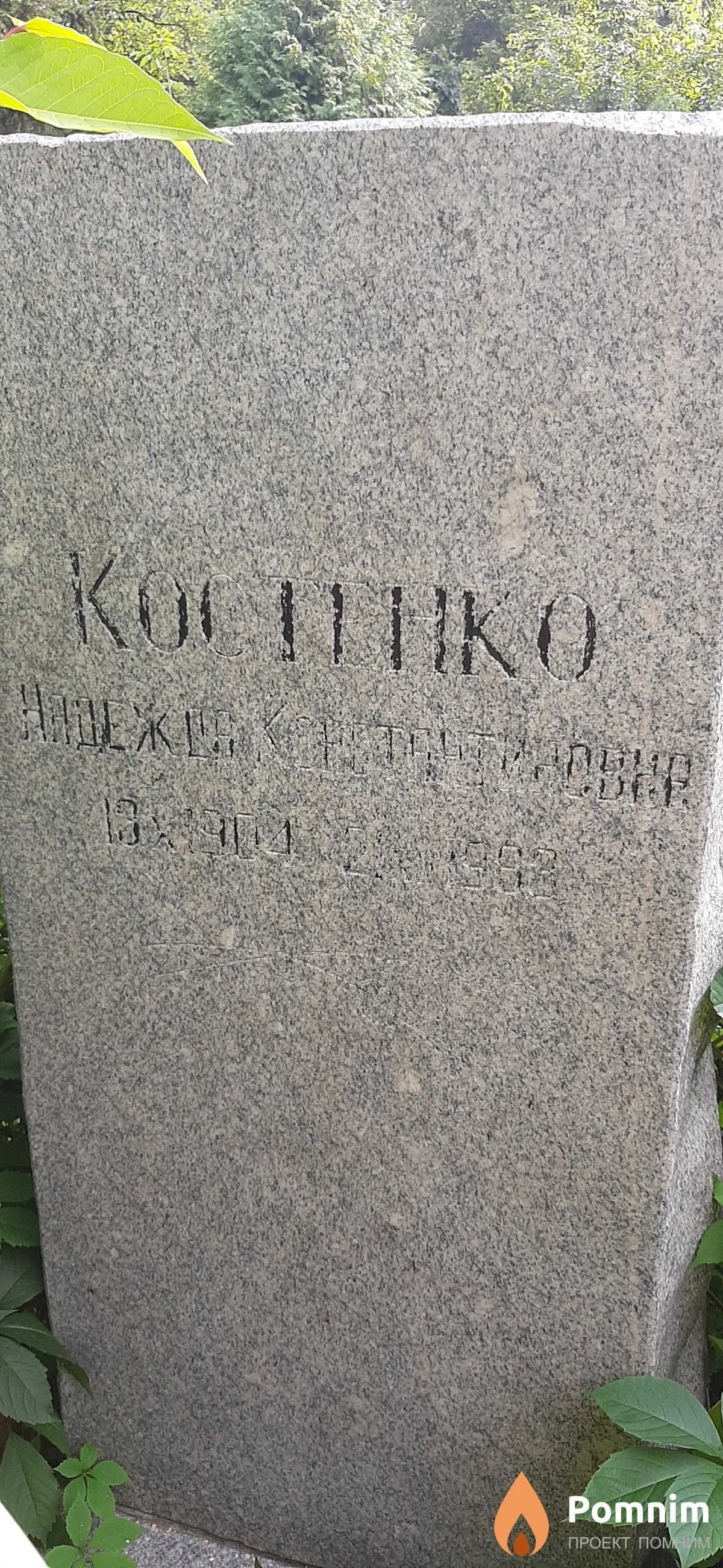 Костенко Надежда Константиновна