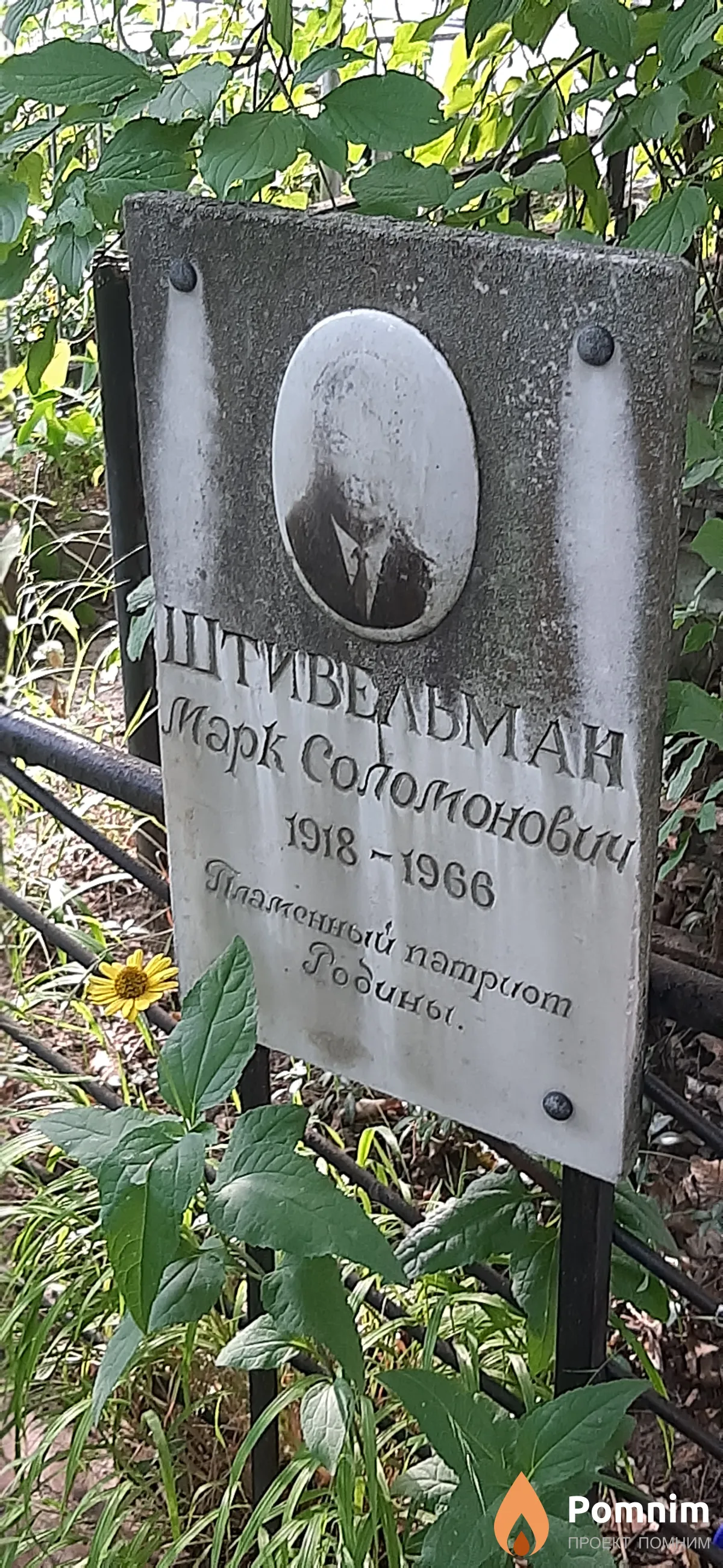Штивельман Марк Соломонович